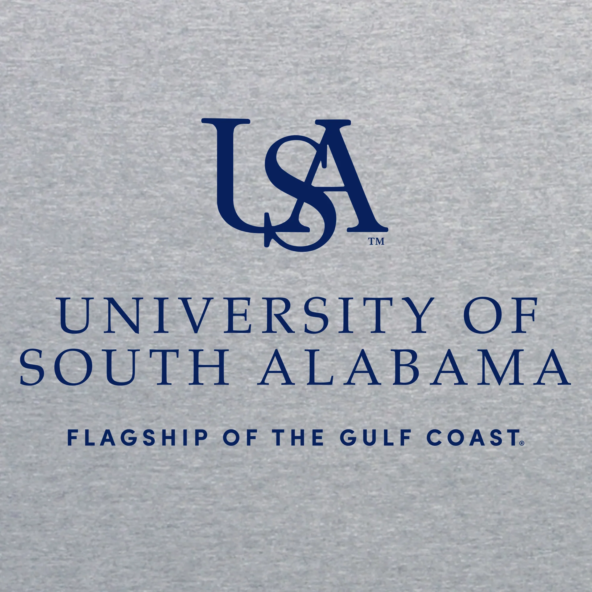 South Alabama Jaguars Institutional Logo Hoodie - Sport Grey - Image 2