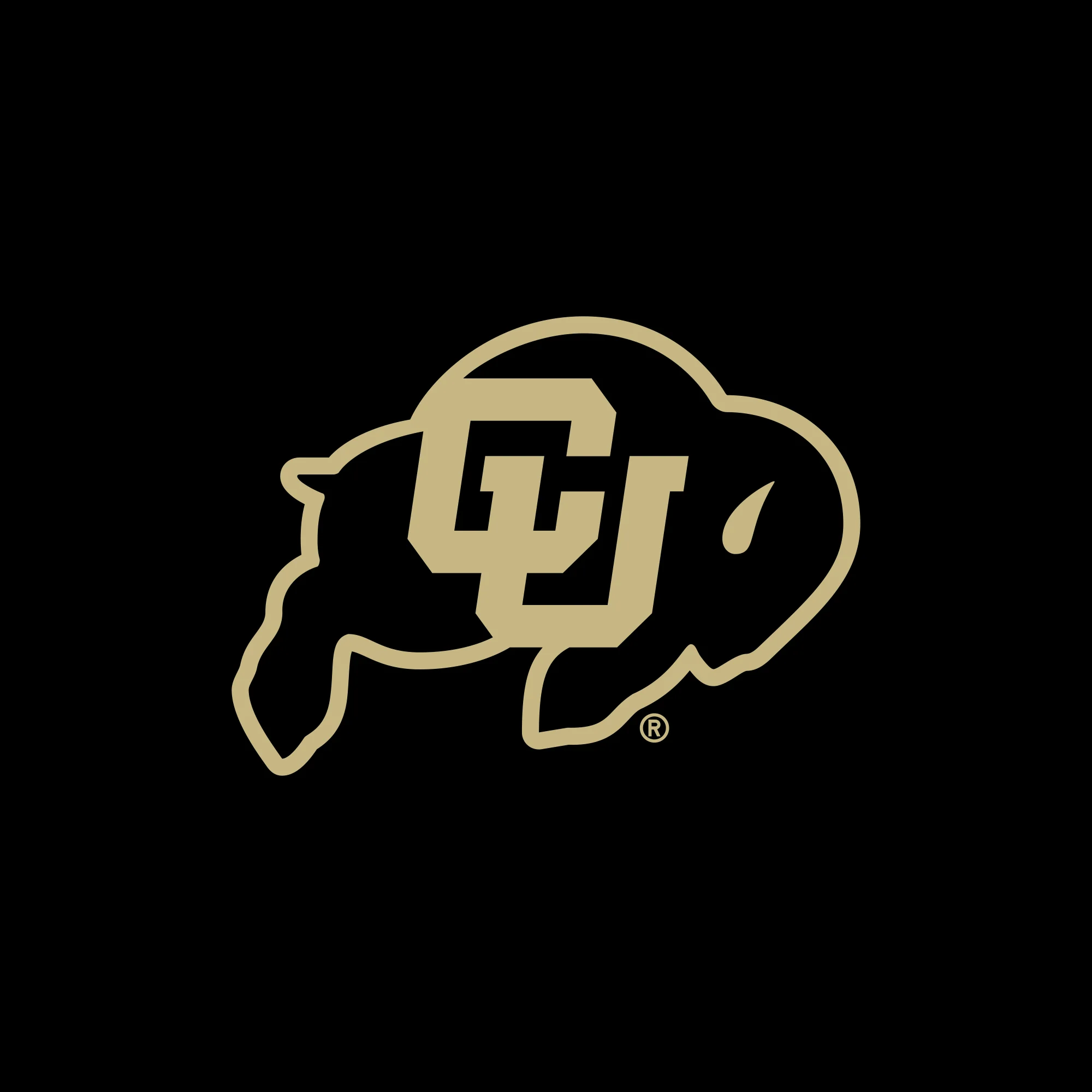 University of Colorado Buffaloes Double Sleeve Print Long Sleeve T Shirt - Black - Image 2