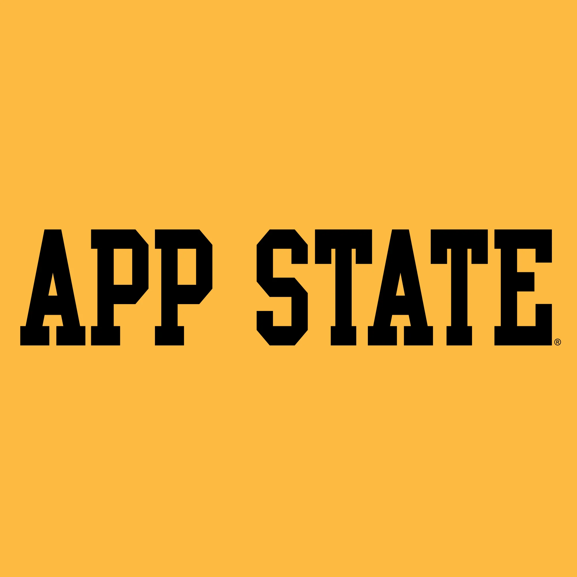 Appalachian State University Mountaineers Basic Block Cotton Hoodie - Gold - Image 2