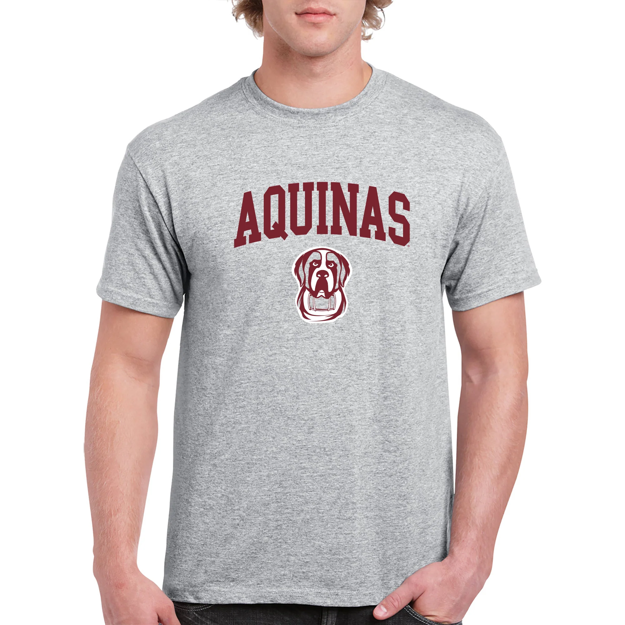 Aquinas College Saints Arch Logo Basic Cotton Short Sleeve T Shirt - Sport Grey - Image 3