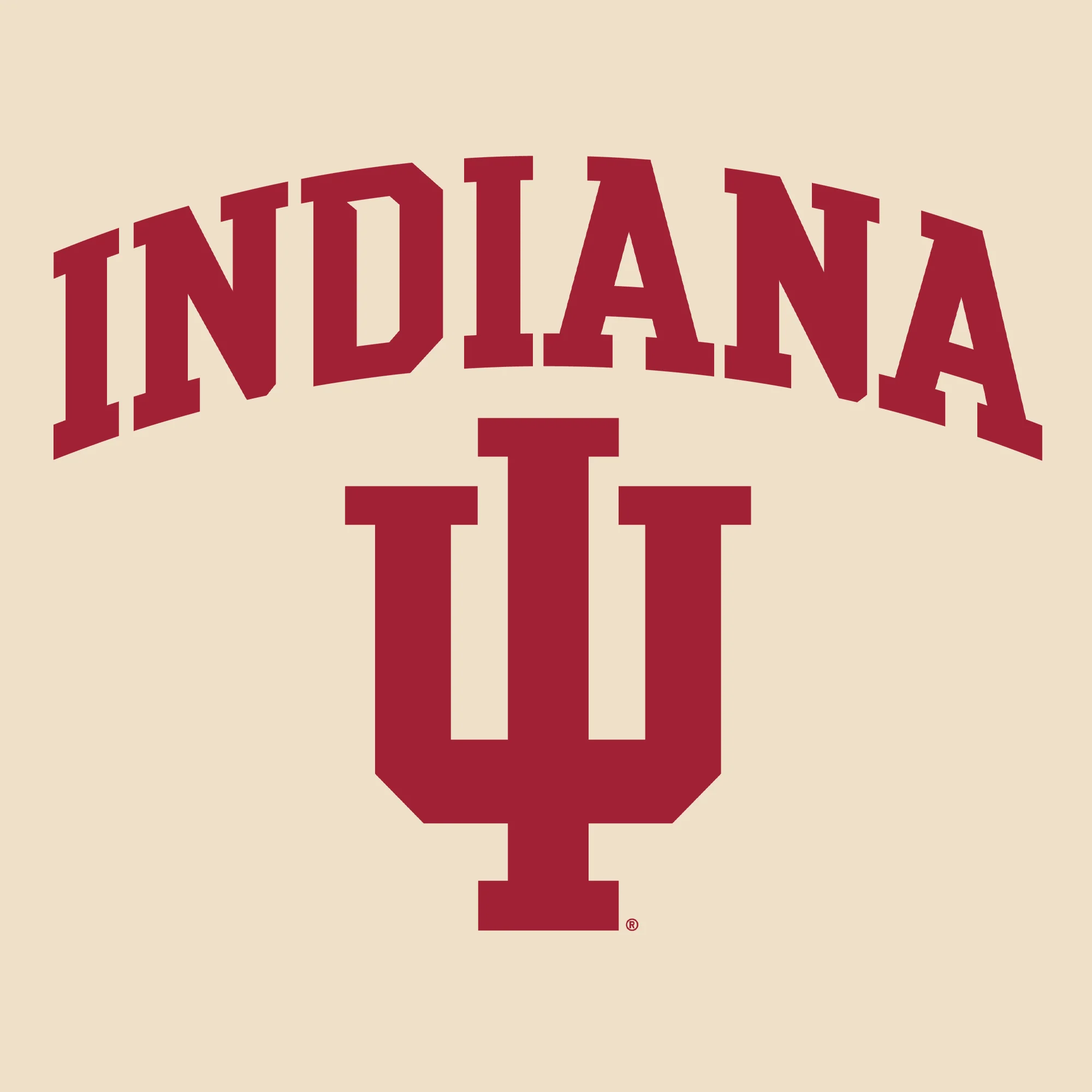 Arch Logo Indiana Port Authority Tote Bag - Natural - Image 2