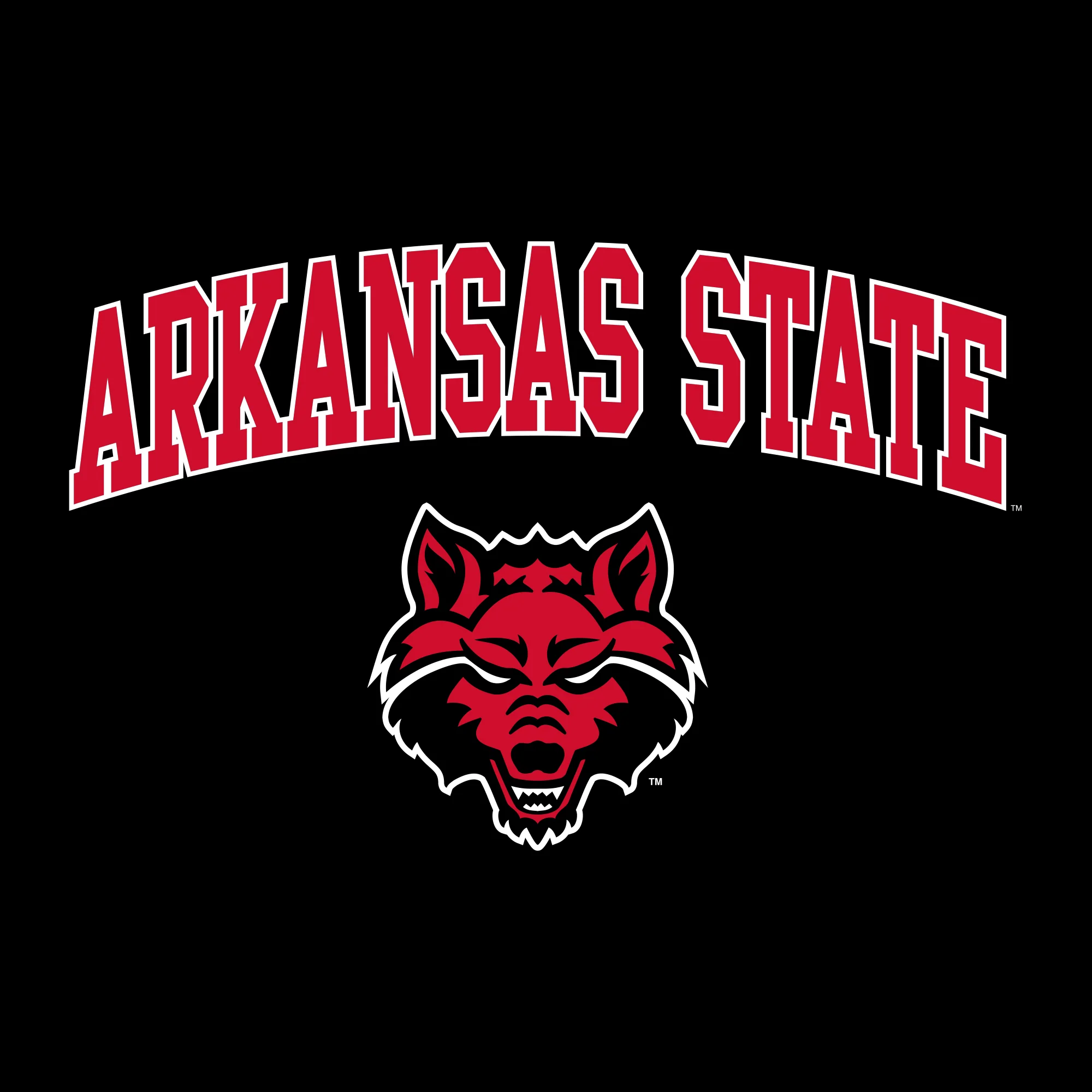 Arkansas State Arch Logo Youth T-Shirt - Black - Image 2