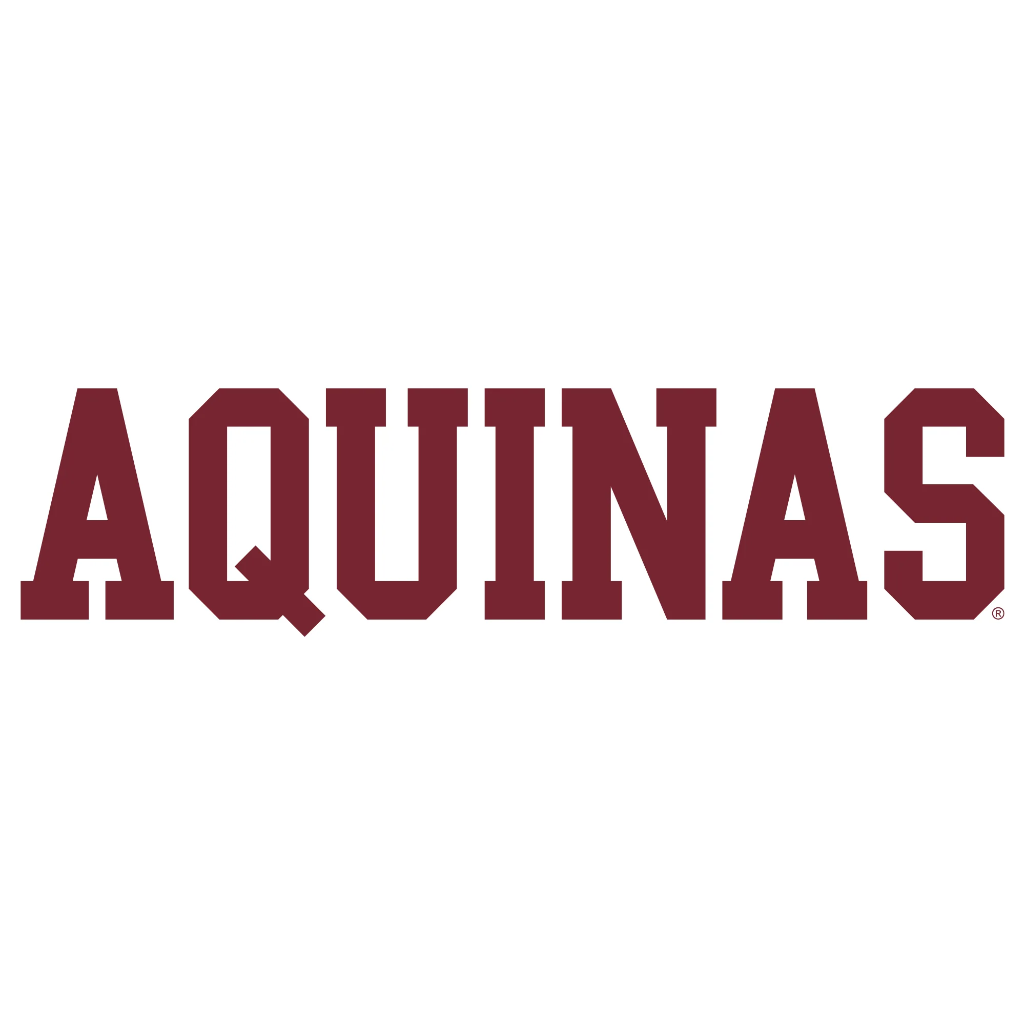 Aquinas Saints Basic Block T Shirt - White - Image 2