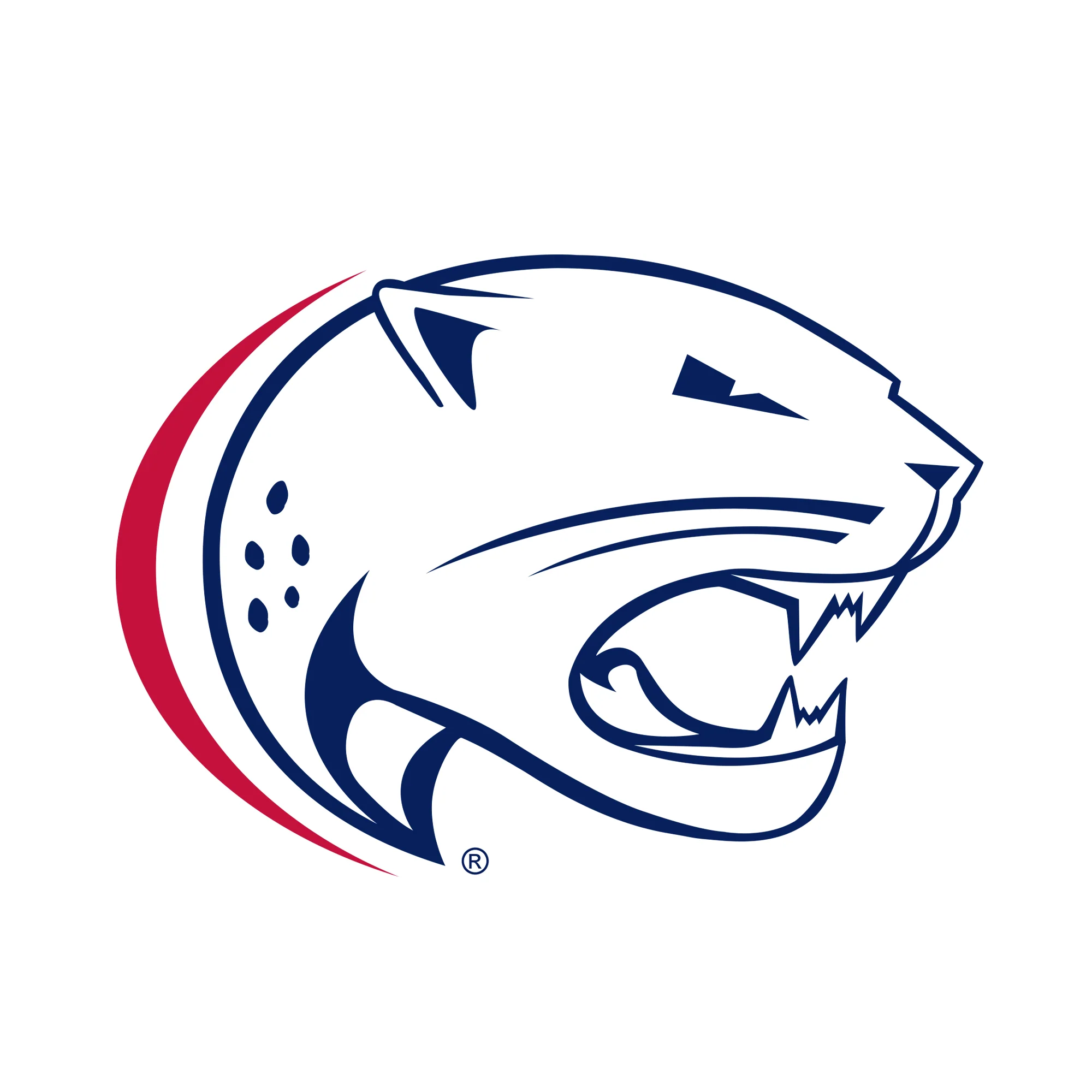 South Alabama Jaguars Primary Logo T Shirt - White - Image 3