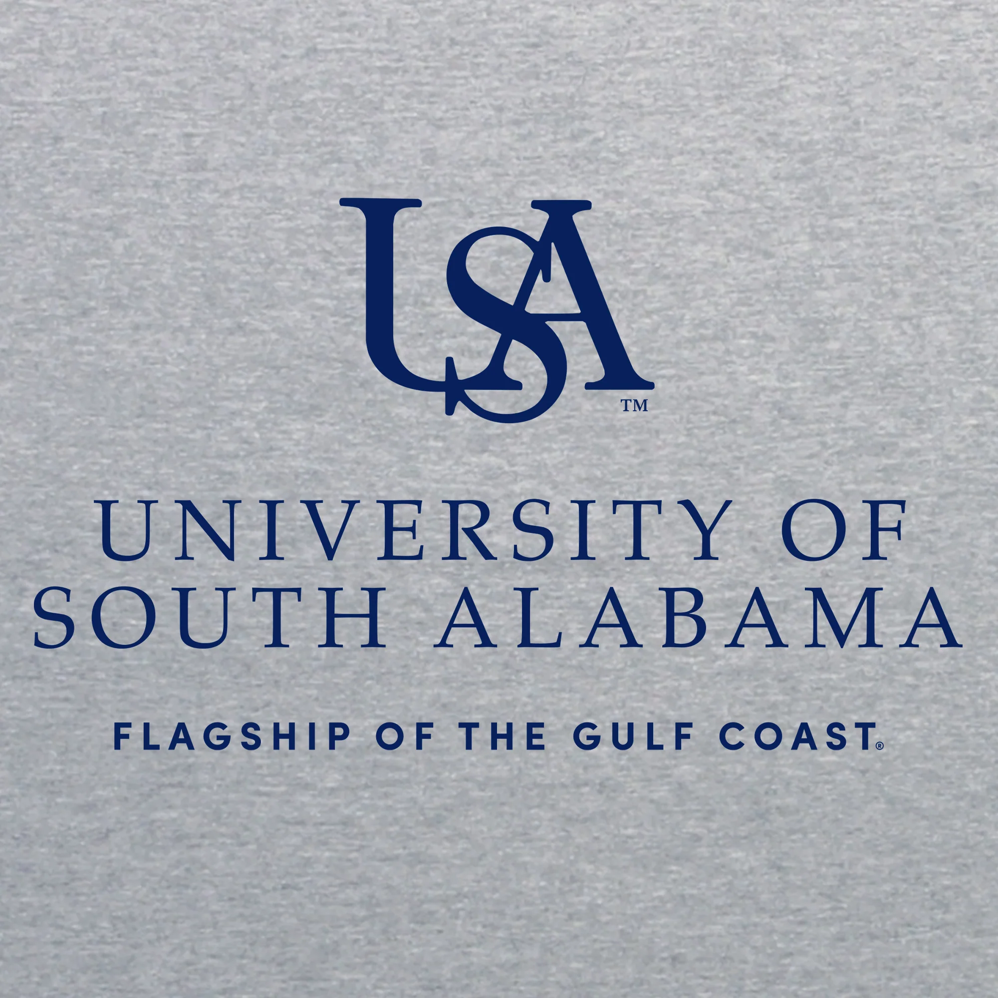 South Alabama Jaguars Institutional Logo T Shirt - Sport Grey - Image 2