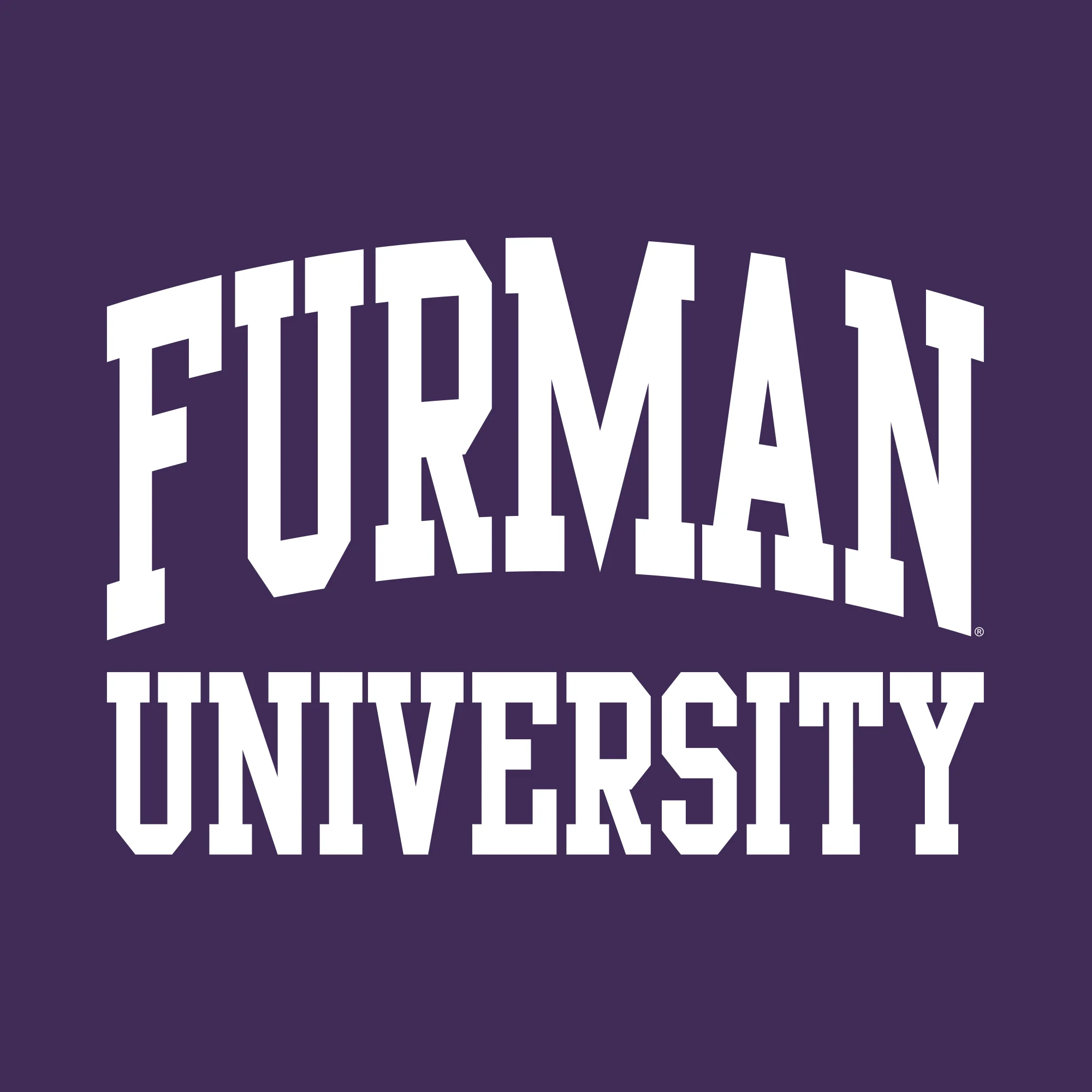Furman University Paladins Front Back Print T Shirt - Purple - Image 2