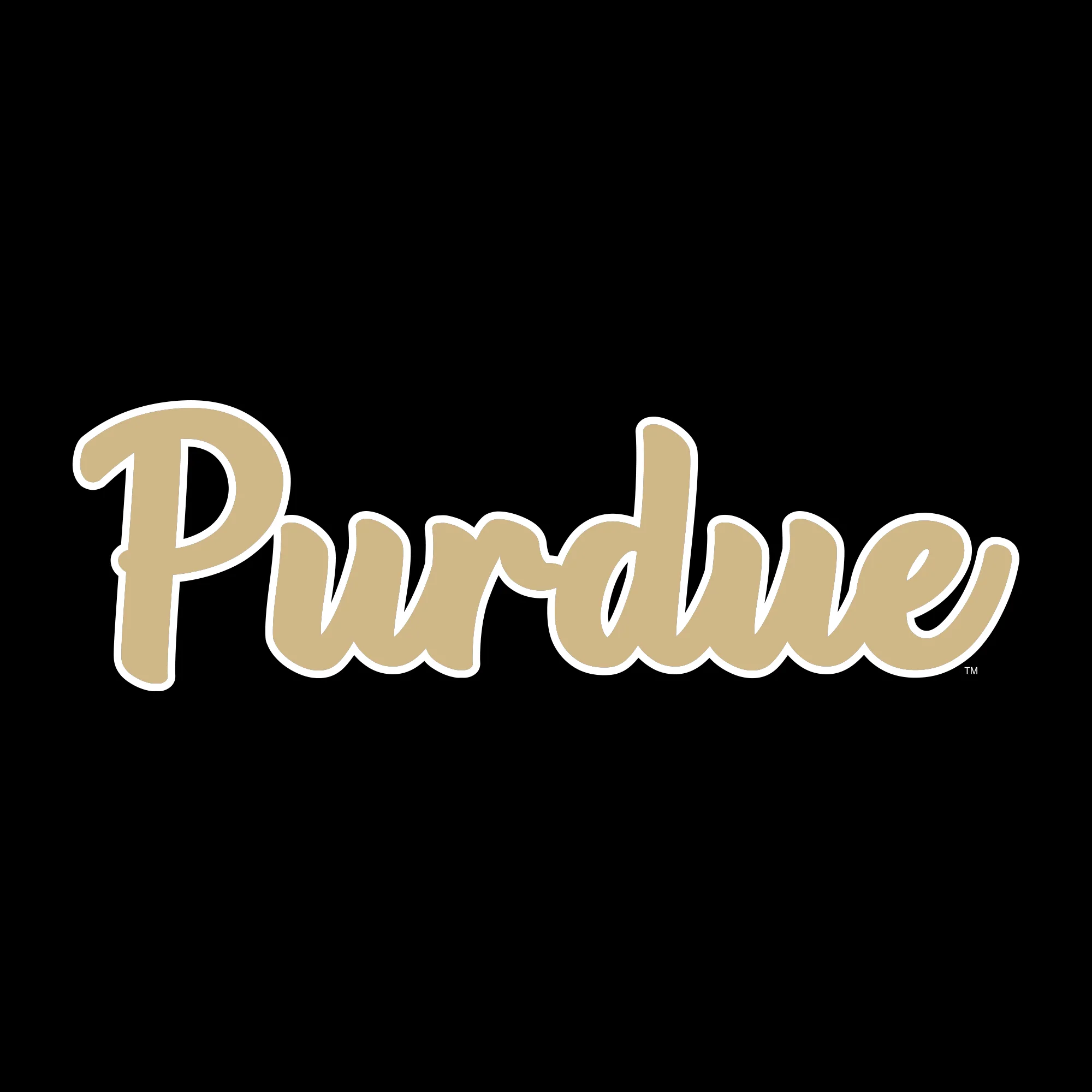 Purdue University Boilermakers Basic Script Cotton Long Sleeve T Shirt - Black - Image 2