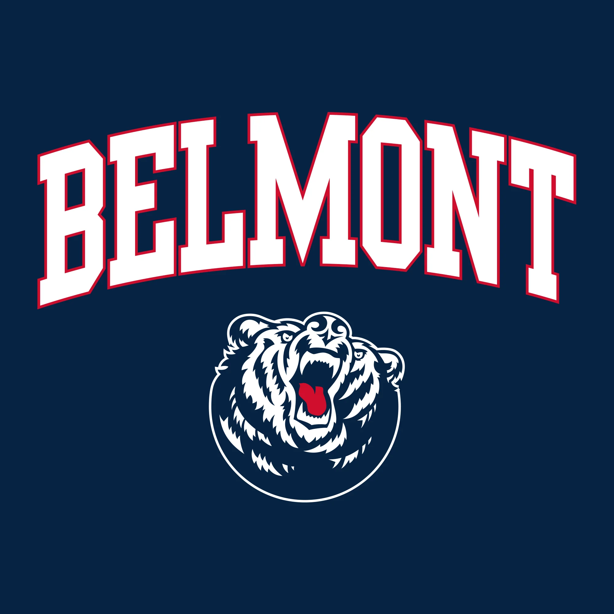 Belmont University Burins Arch Logo Heavy Blend Hoodie - Navy - Image 2