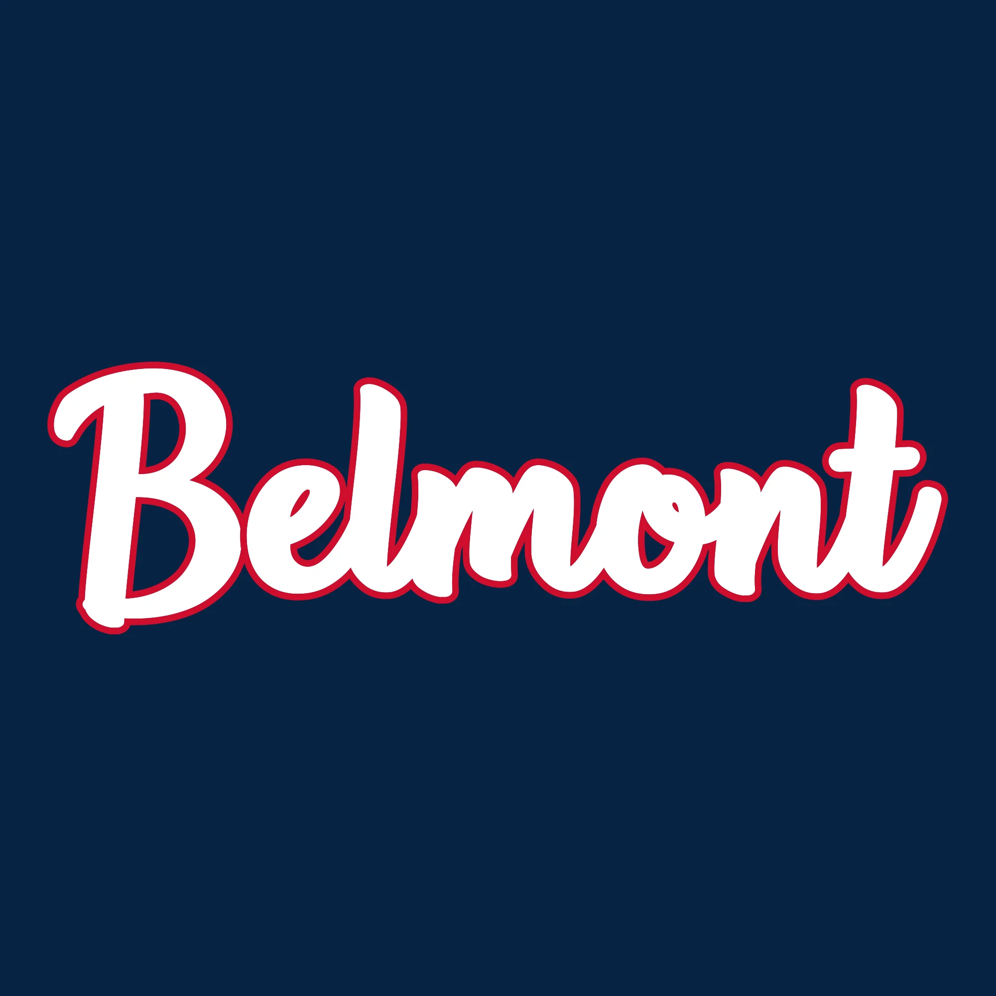 Belmont University Burins Basic Script Heavy Blend Hoodie - Navy - Image 2