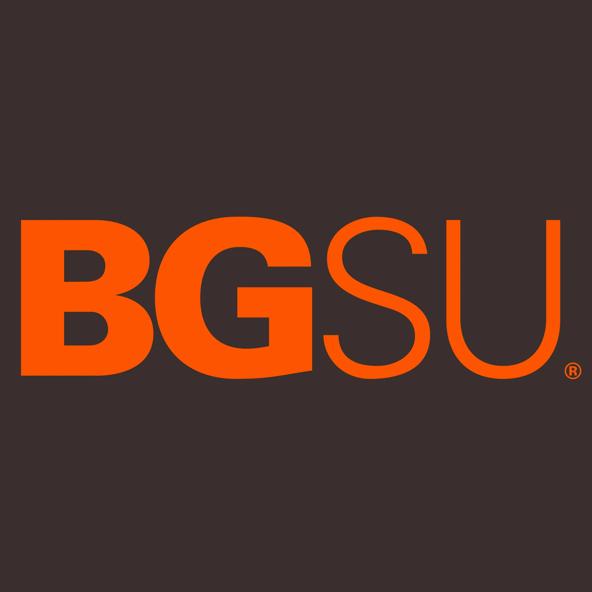 BGSU Bowling Green State University Falcons Institutional Logo Long Sleeve T Shirt - Dark Chocolate - Image 2