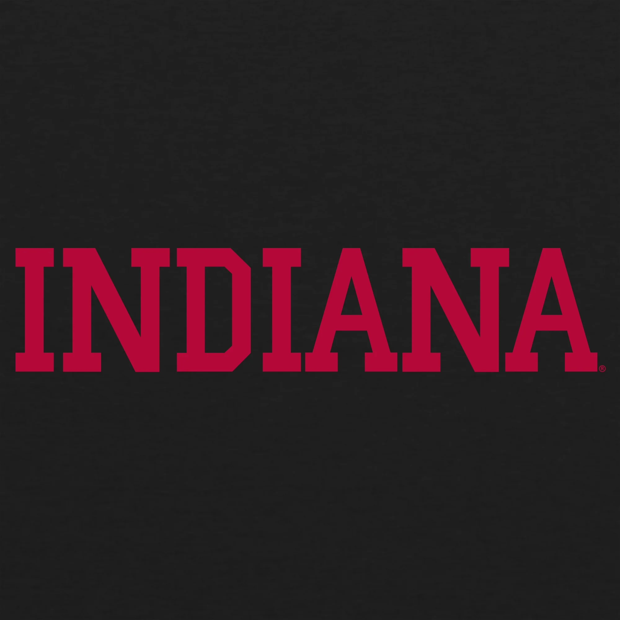 Block Indiana NLA - Vintage Black - Image 2
