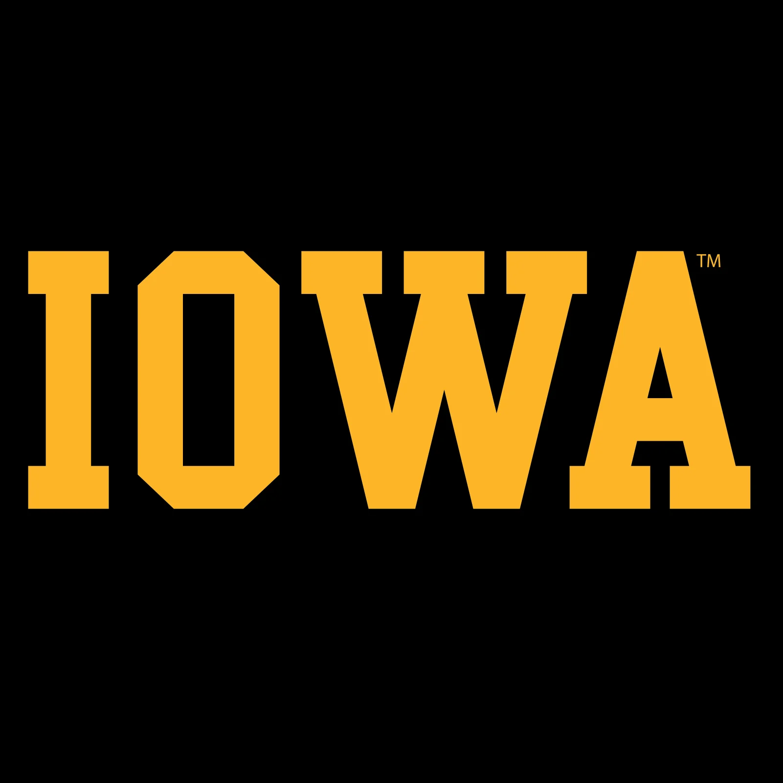 Block Iowa Basic - Black - Image 2