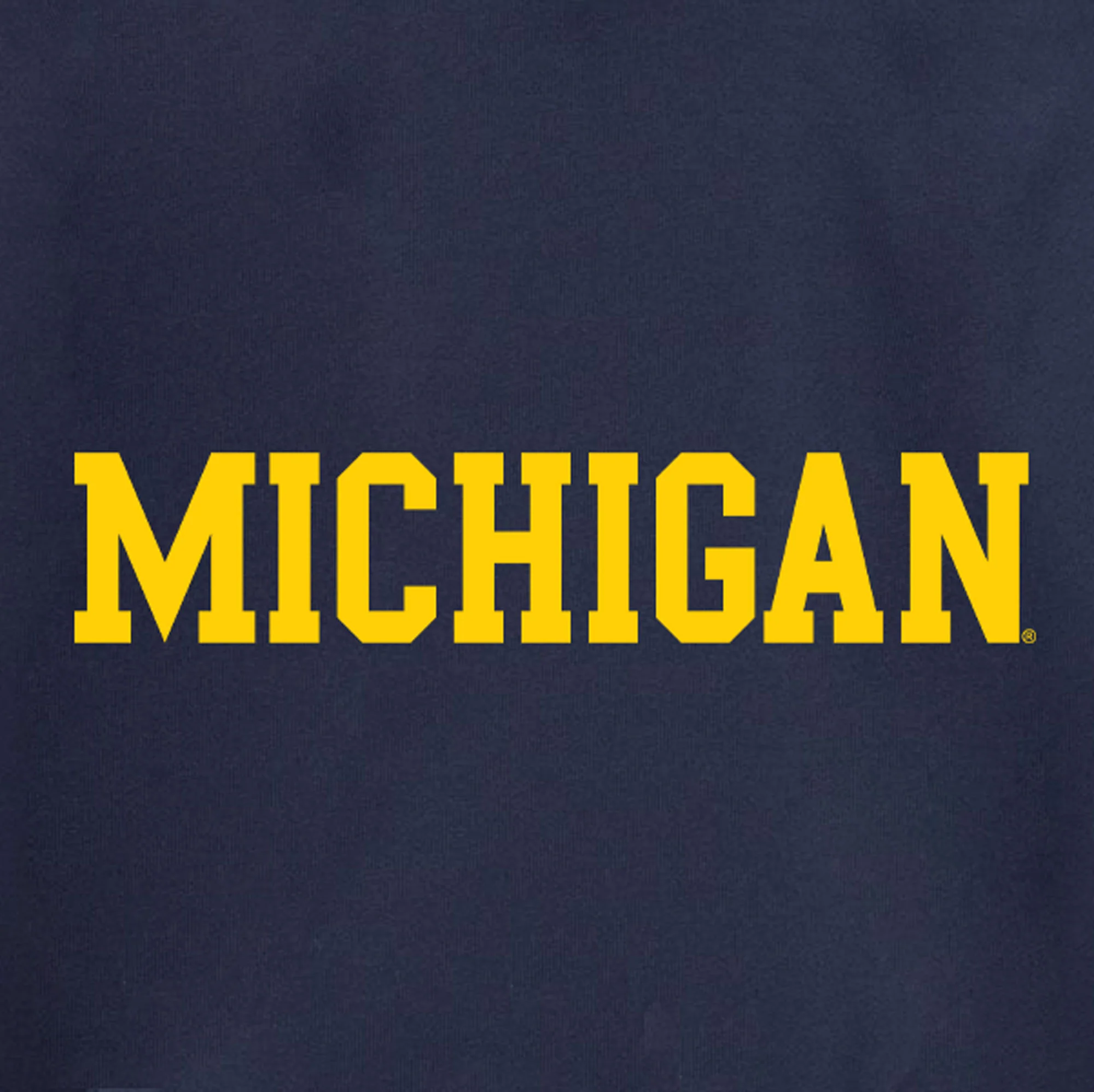 Block Michigan Youth Sponge Fleece Hoodie - Navy - Image 2