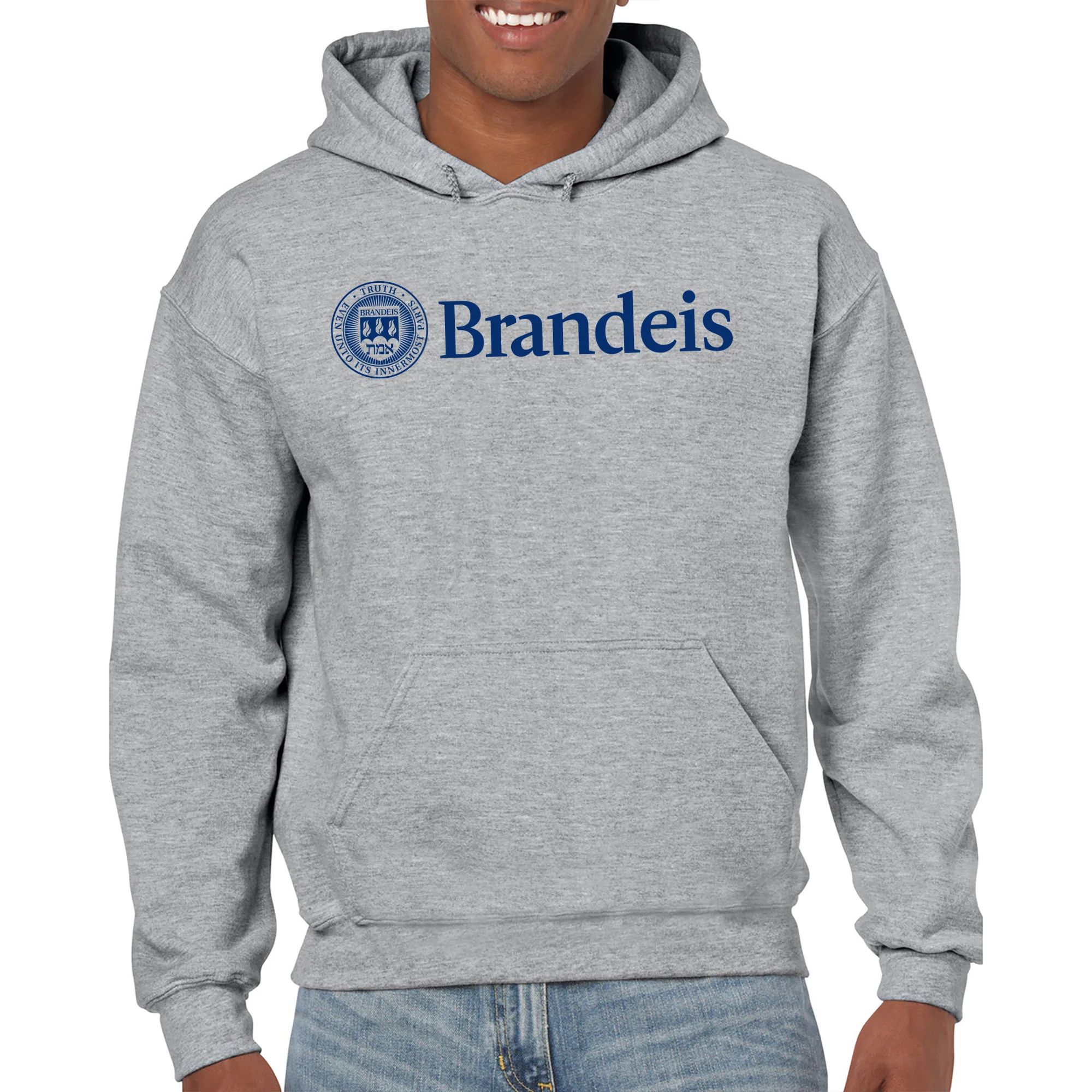 Brandeis Judges Institutional Logo Hoodie - Sport Grey - Image 3
