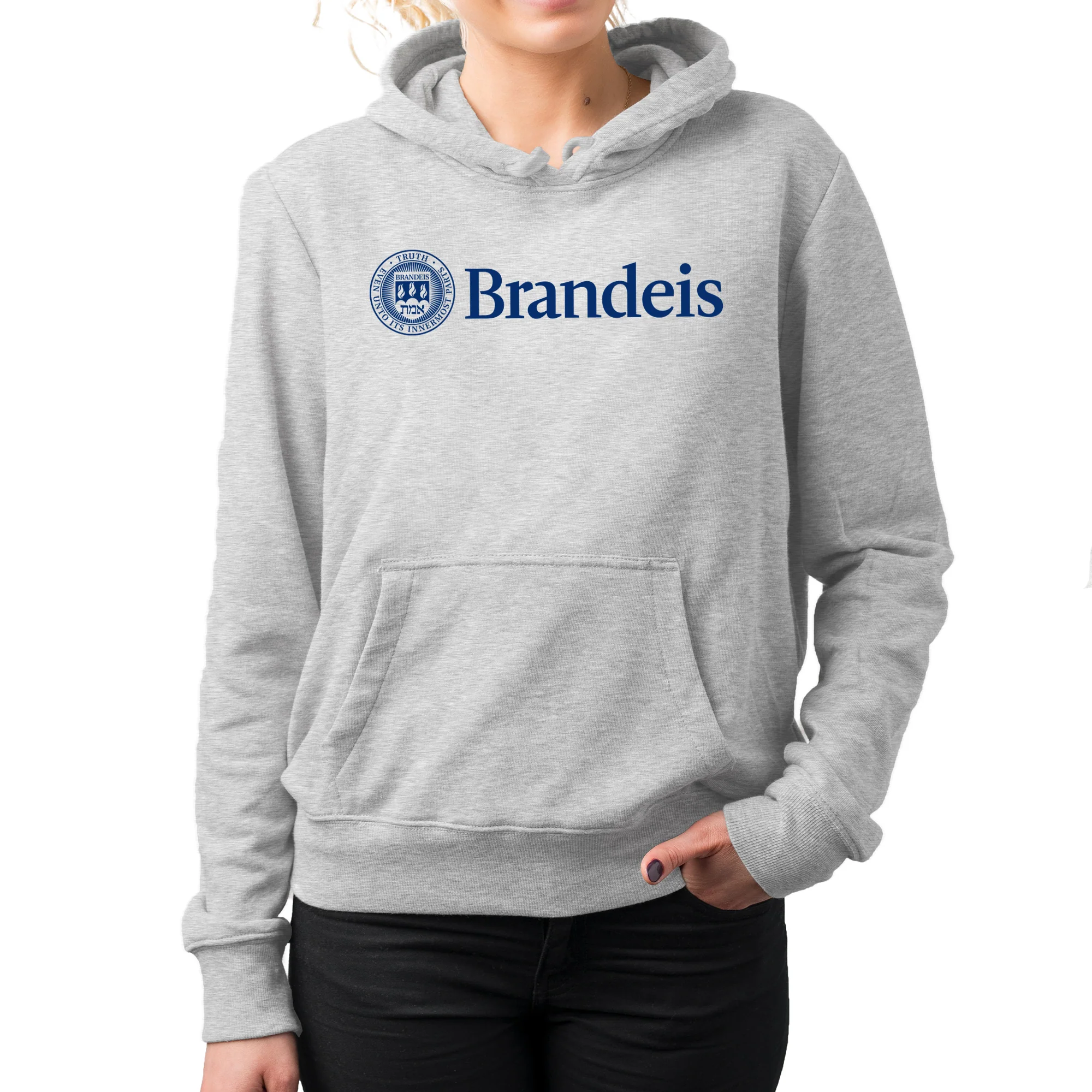 Brandeis Judges Institutional Logo Hoodie - Sport Grey - Image 4