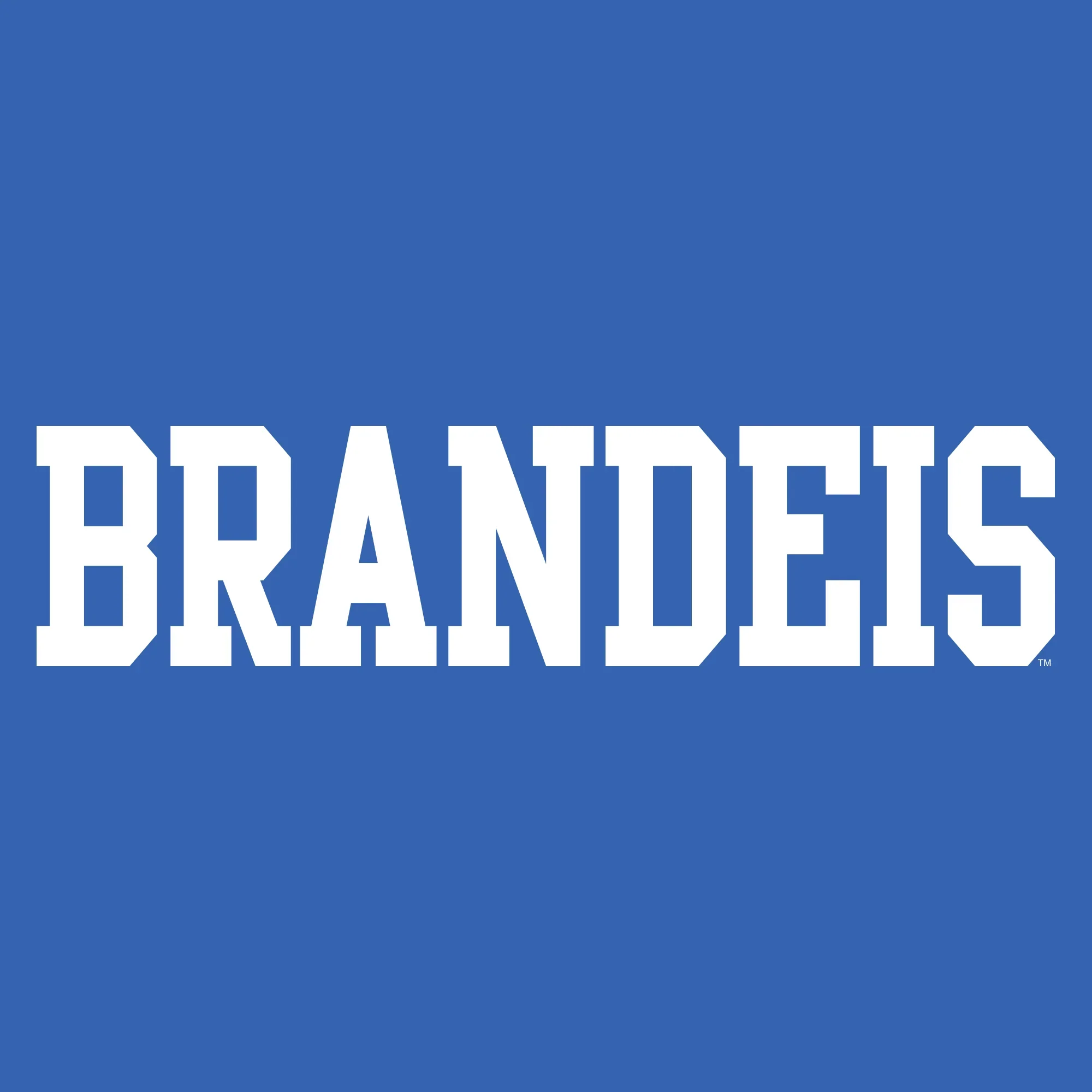Brandeis University Judges Basic Block Hoodie - Royal - Image 2