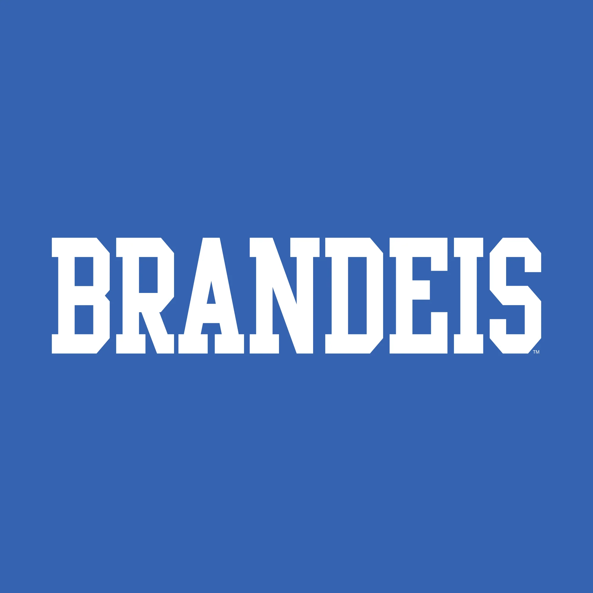 Brandeis University Judges Basic Block Youth Short Sleeve T Shirt - Royal - Image 2