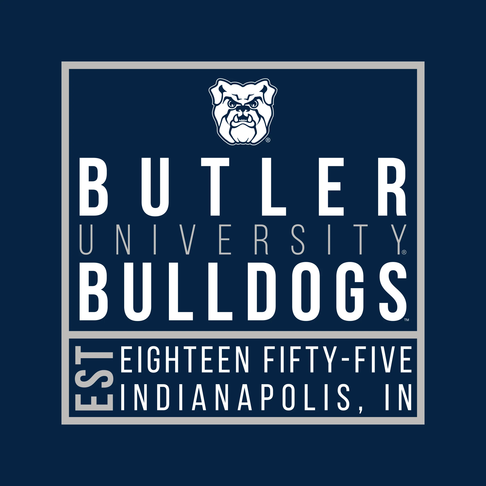 Butler Box Label T Shirt - Navy - Image 2