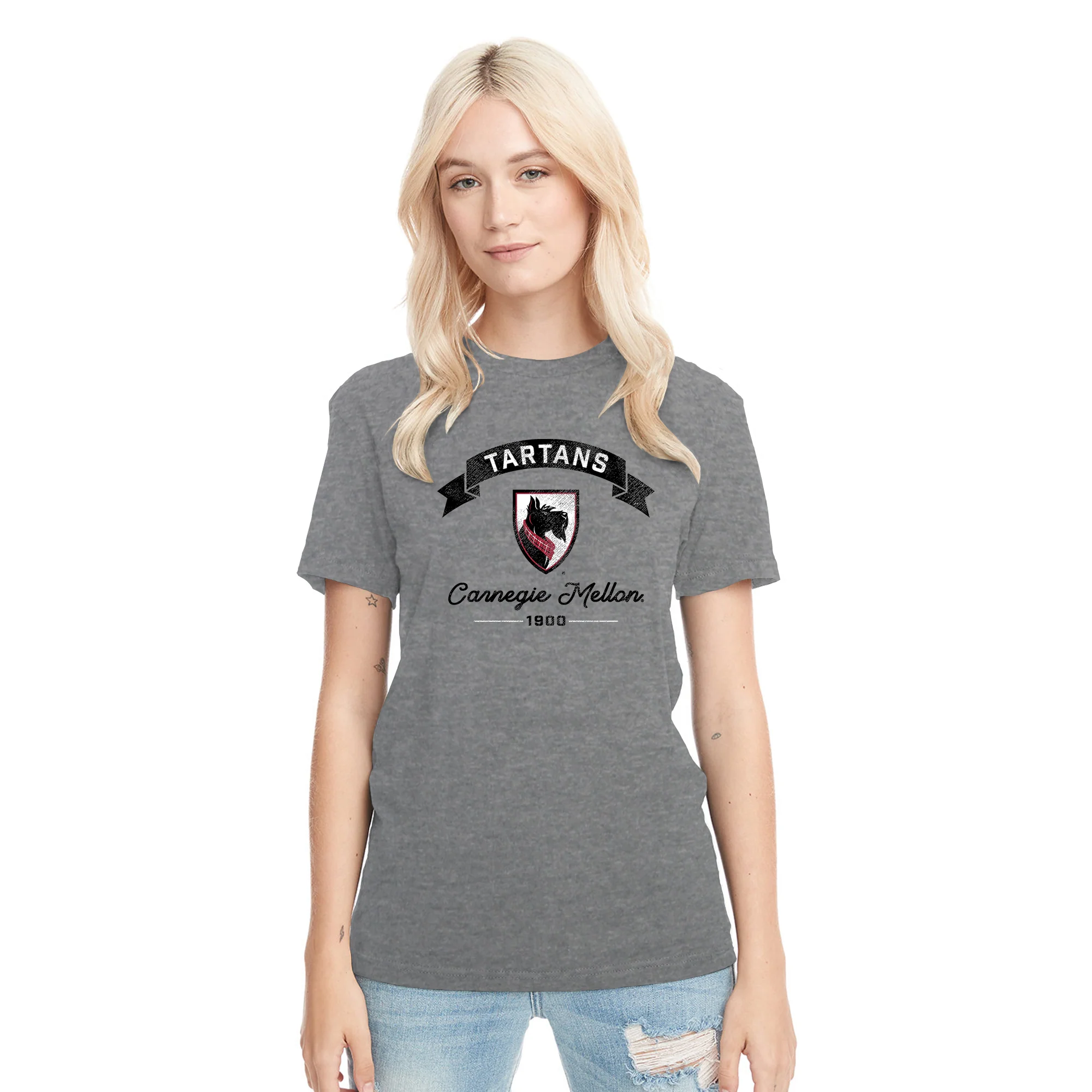 Carnegie Mellon Ribbon Arc NLA Triblend T-Shirt - Premium Heather - Image 4