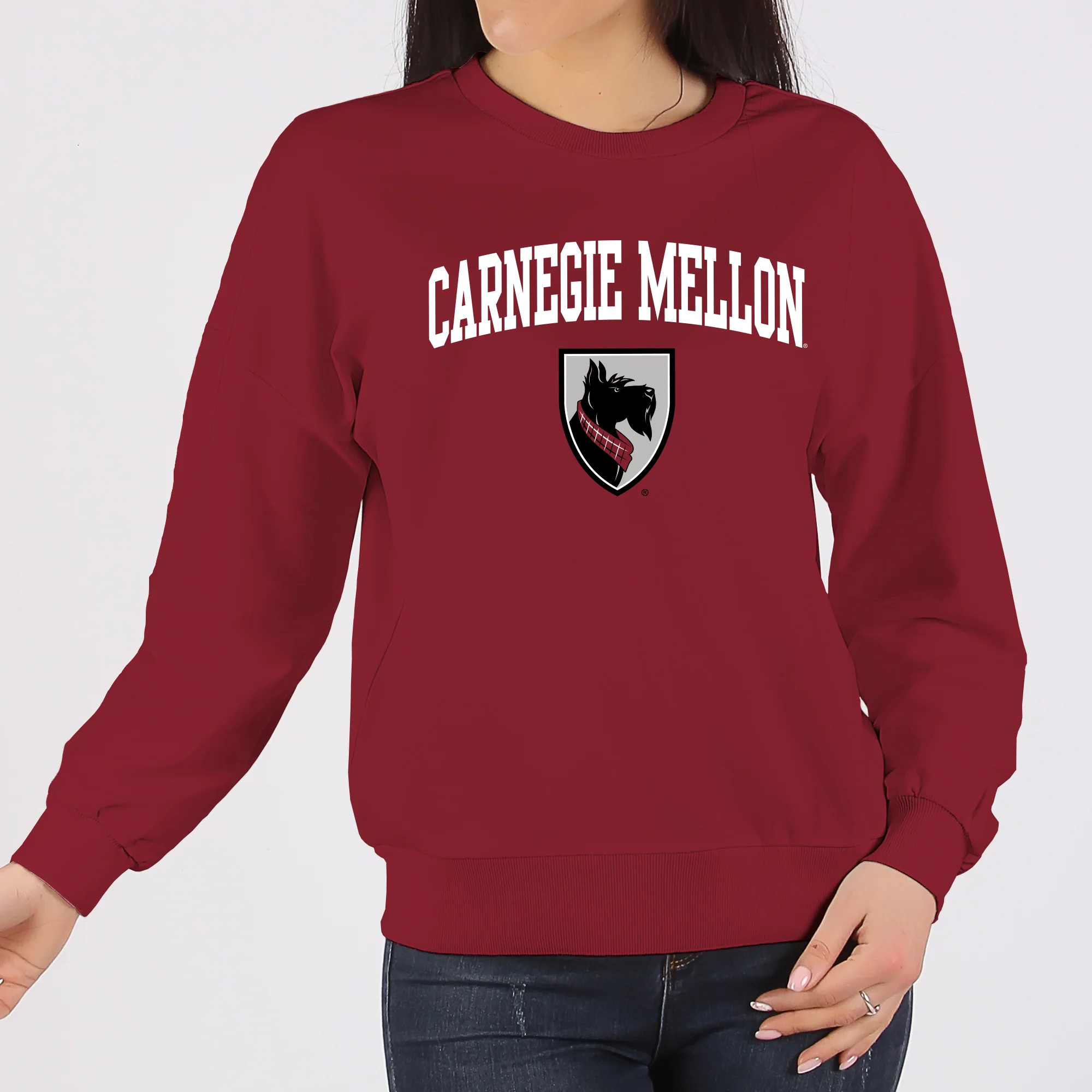 Carnegie Mellon Tartans Arch Logo Crewneck Sweatshirt - Cardinal - Image 4
