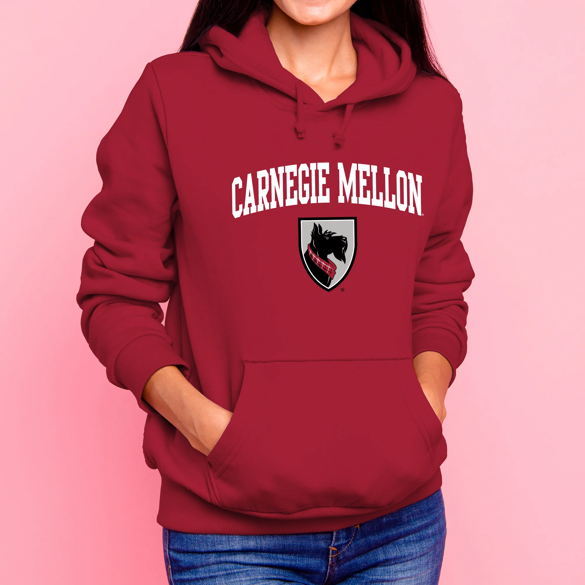 Carnegie Mellon Tartans Arch Logo Hoodie - Cardinal - Image 4
