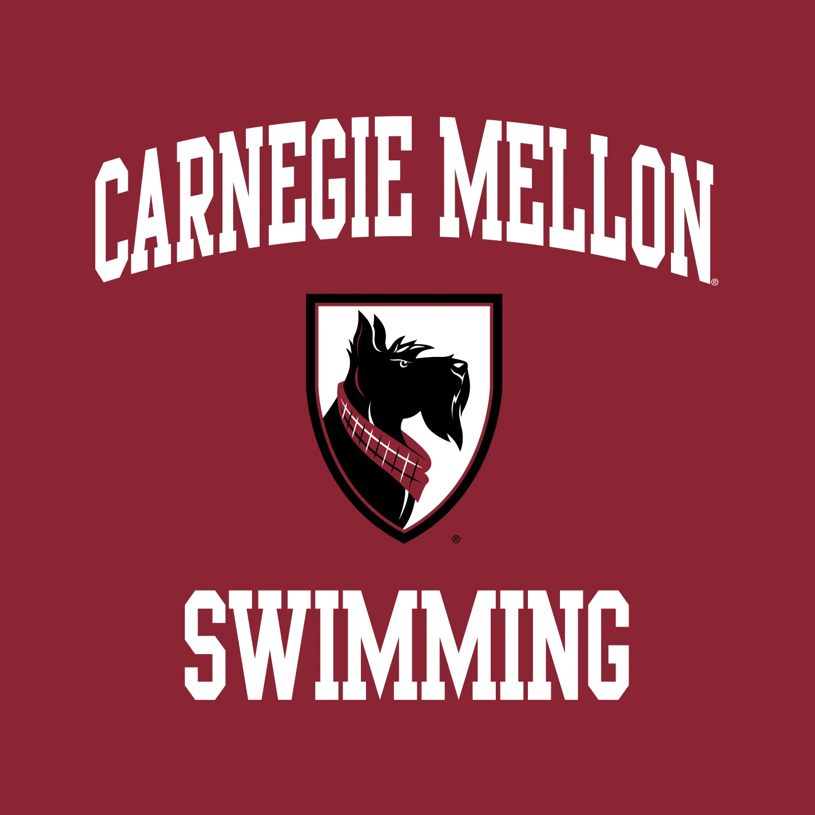Carnegie Mellon University Tartans Arch Logo Swimming Short Sleeve T Shirt - Cardinal - Image 2