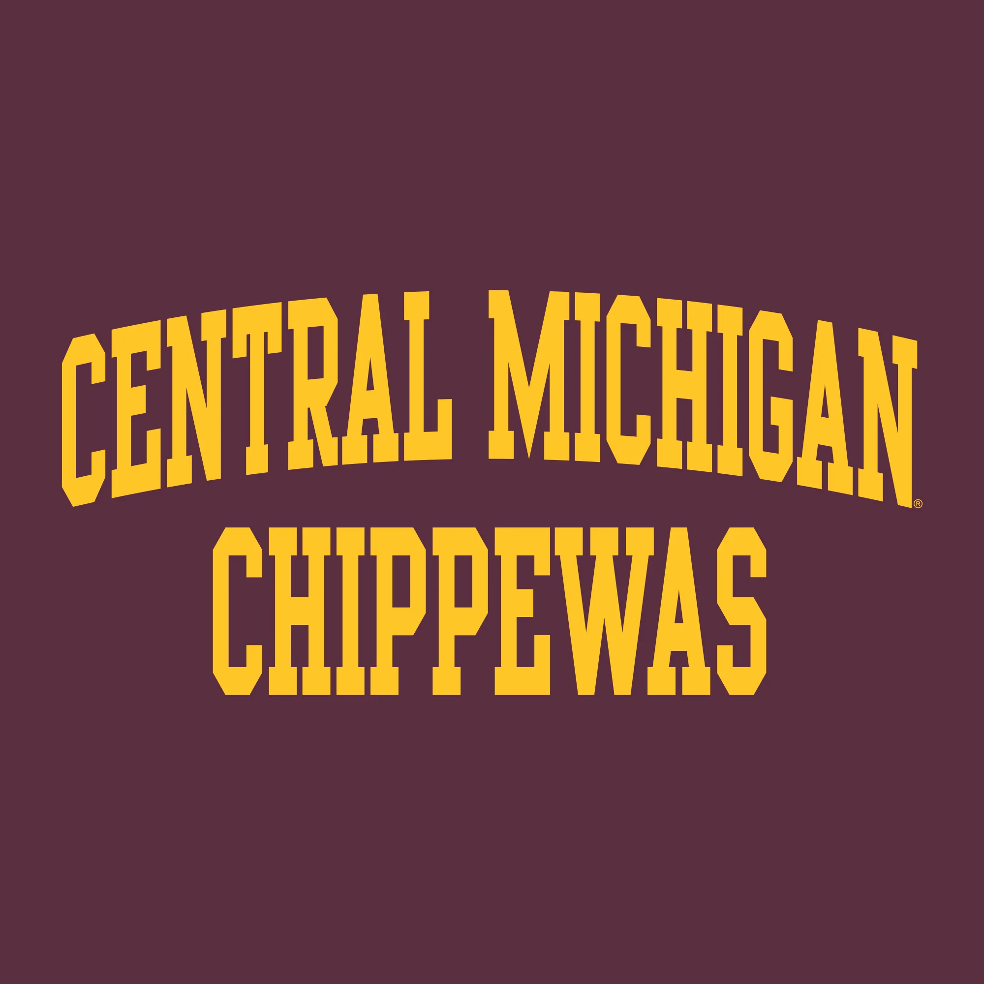 Central Michigan University Chippewas Front Back Print Short Sleeve T Shirt - Maroon - Image 2