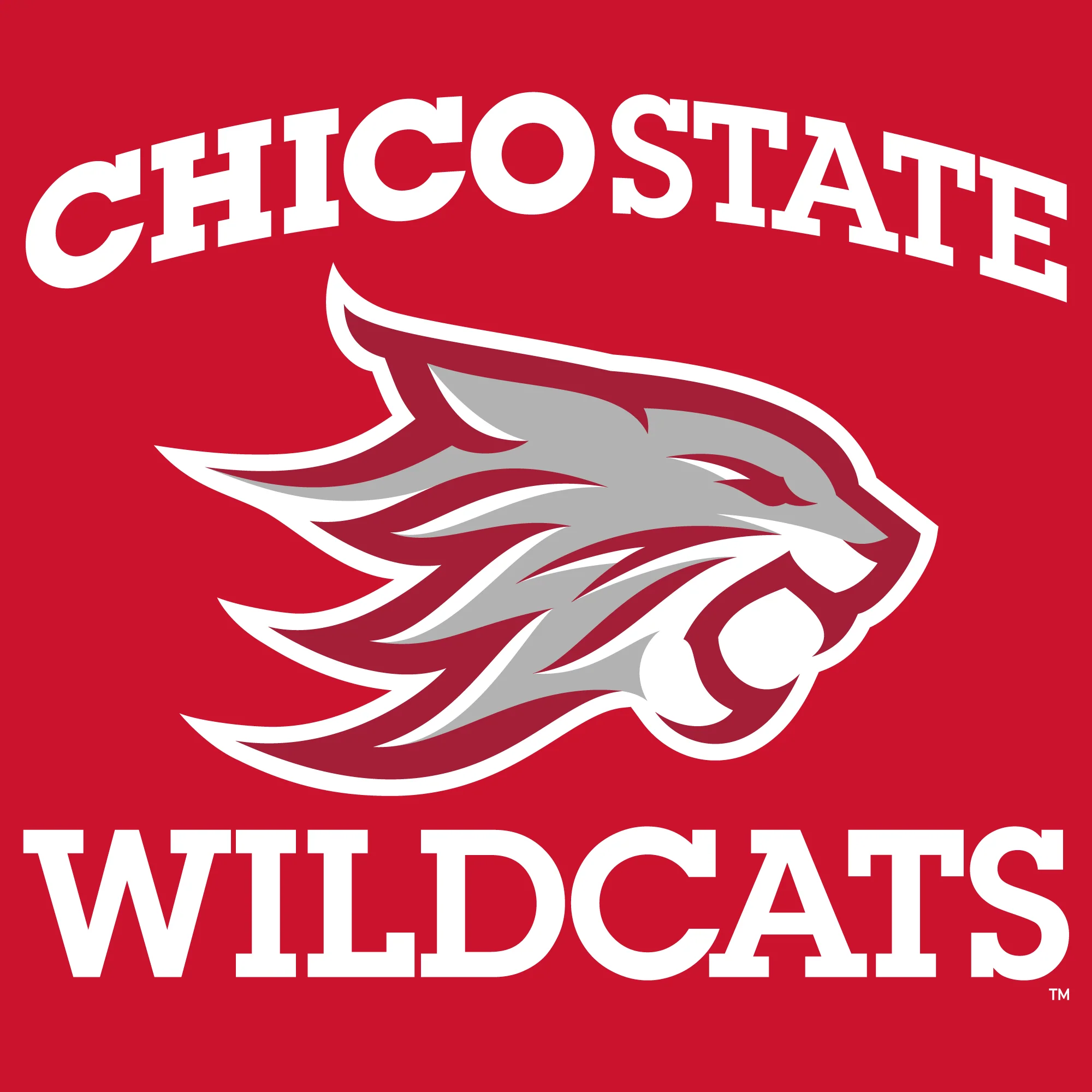 Chico State Wildcats Arch Logo Women's T-Shirt - Image 5