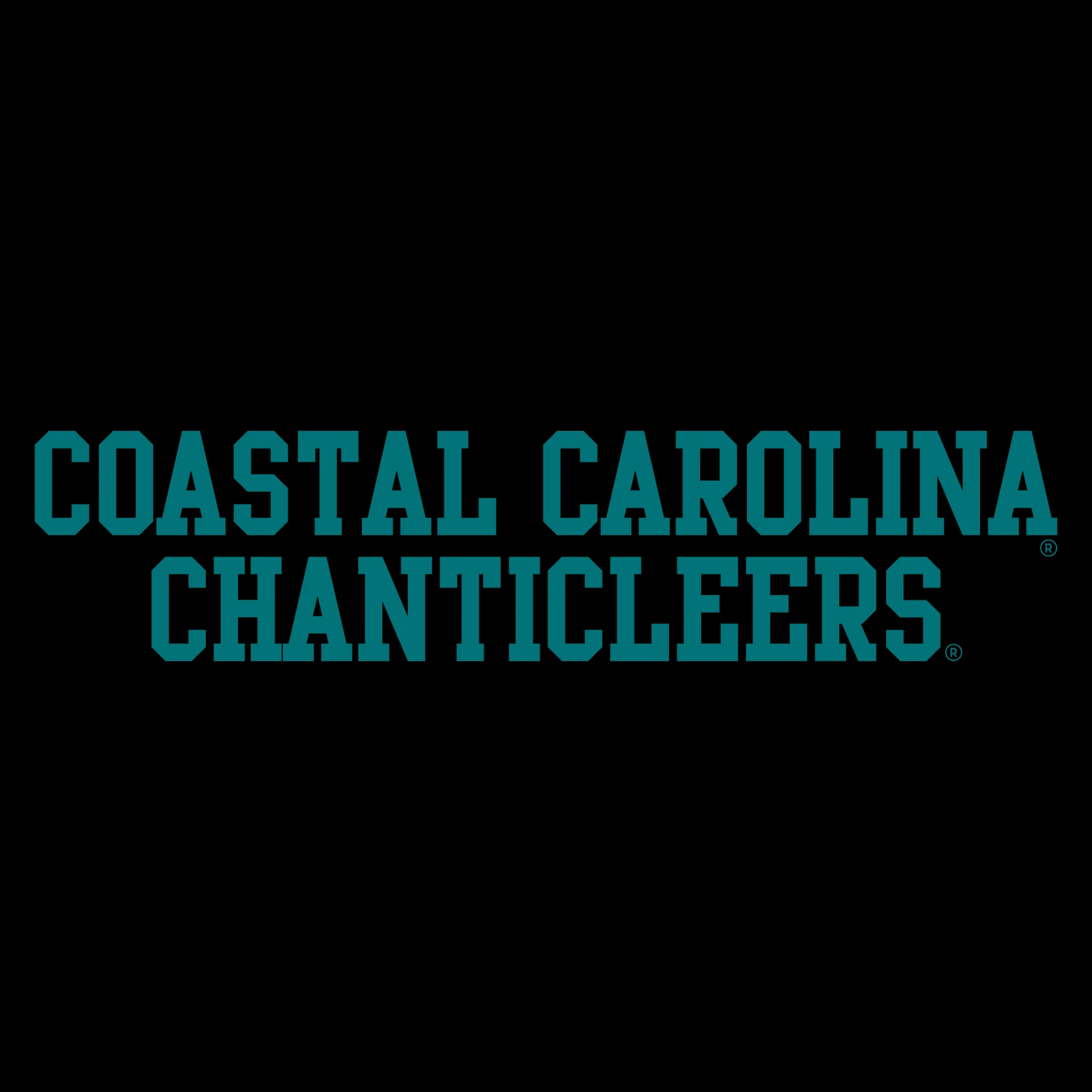 Coastal Carolina Chanticleers Basic Block Hoodie - Black - Image 2