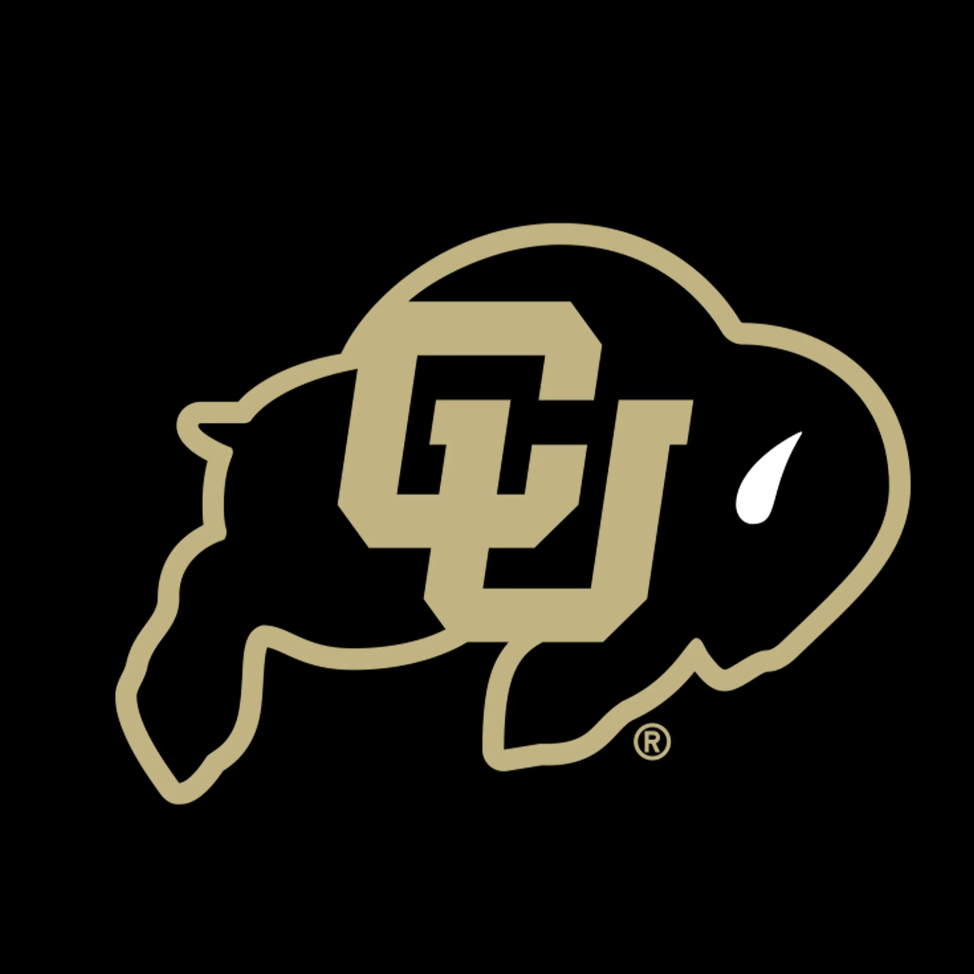 Colorado Buffaloes Primary Logo Sweatpants - Black - Image 2