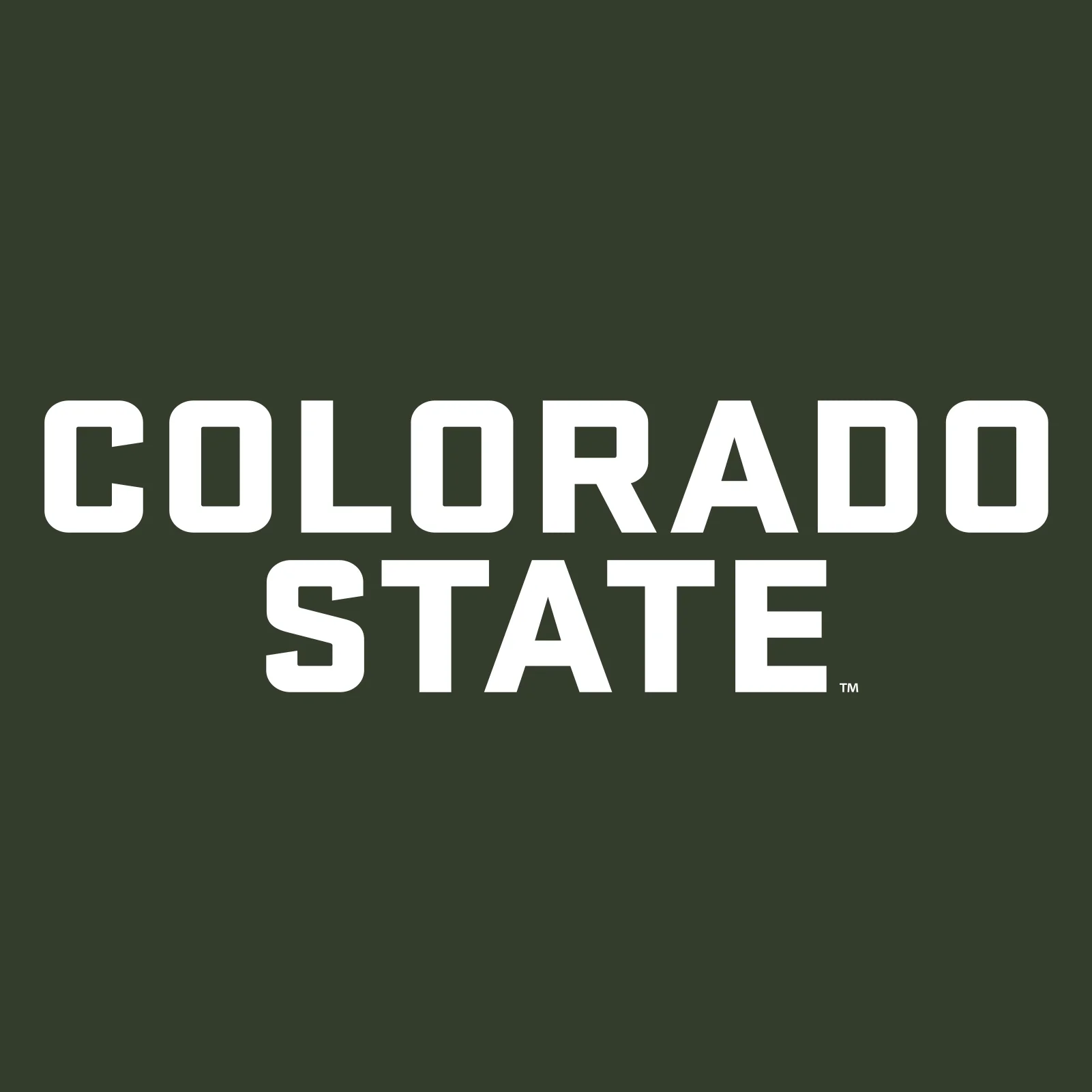Colorado State University Rams Basic Block Hoodie - Forest - Image 2