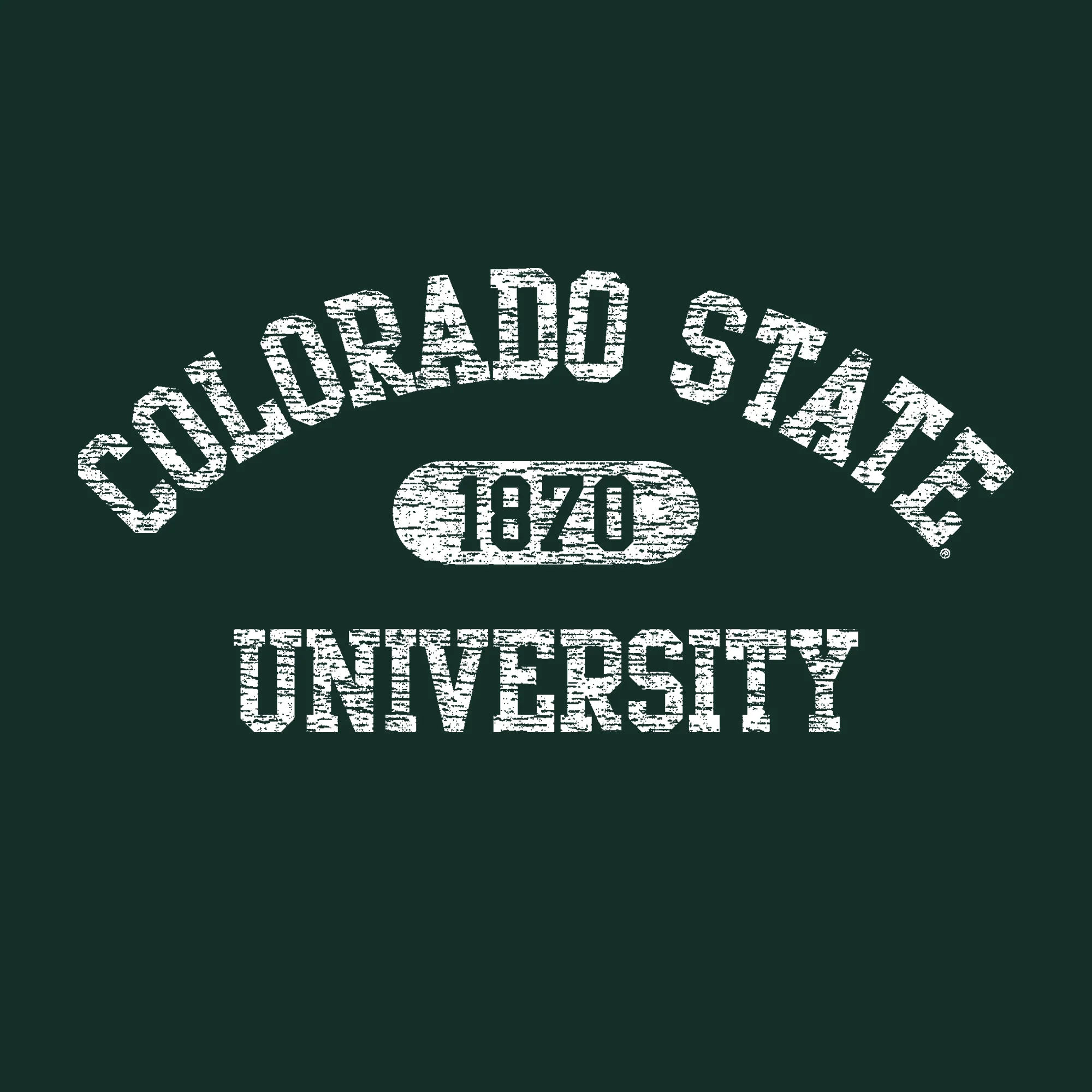 Colorado State Athletic Arch Hoodie - Forest - Image 2