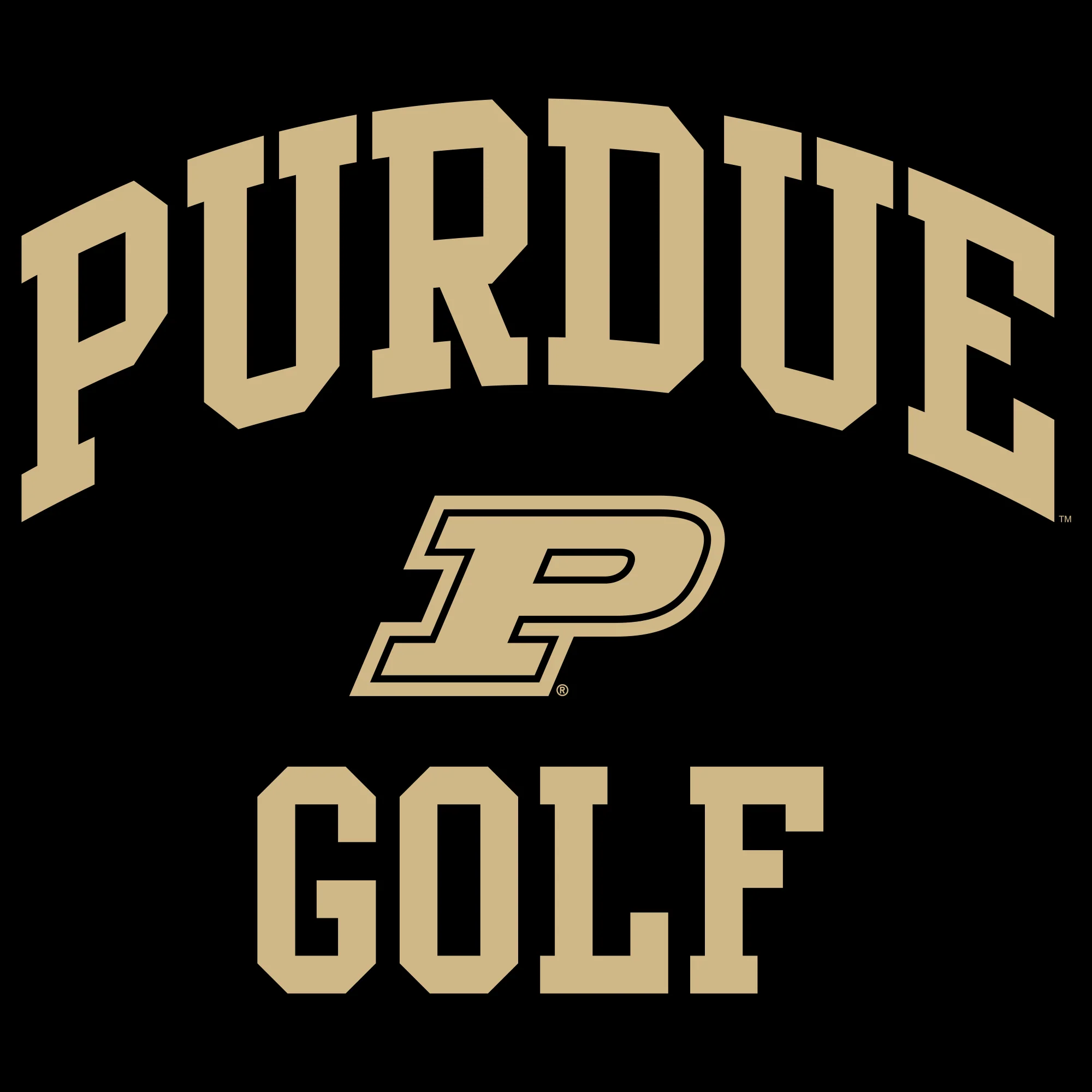 Purdue University Boilermakers Arch Logo Golf Hoodie - Black - Image 2