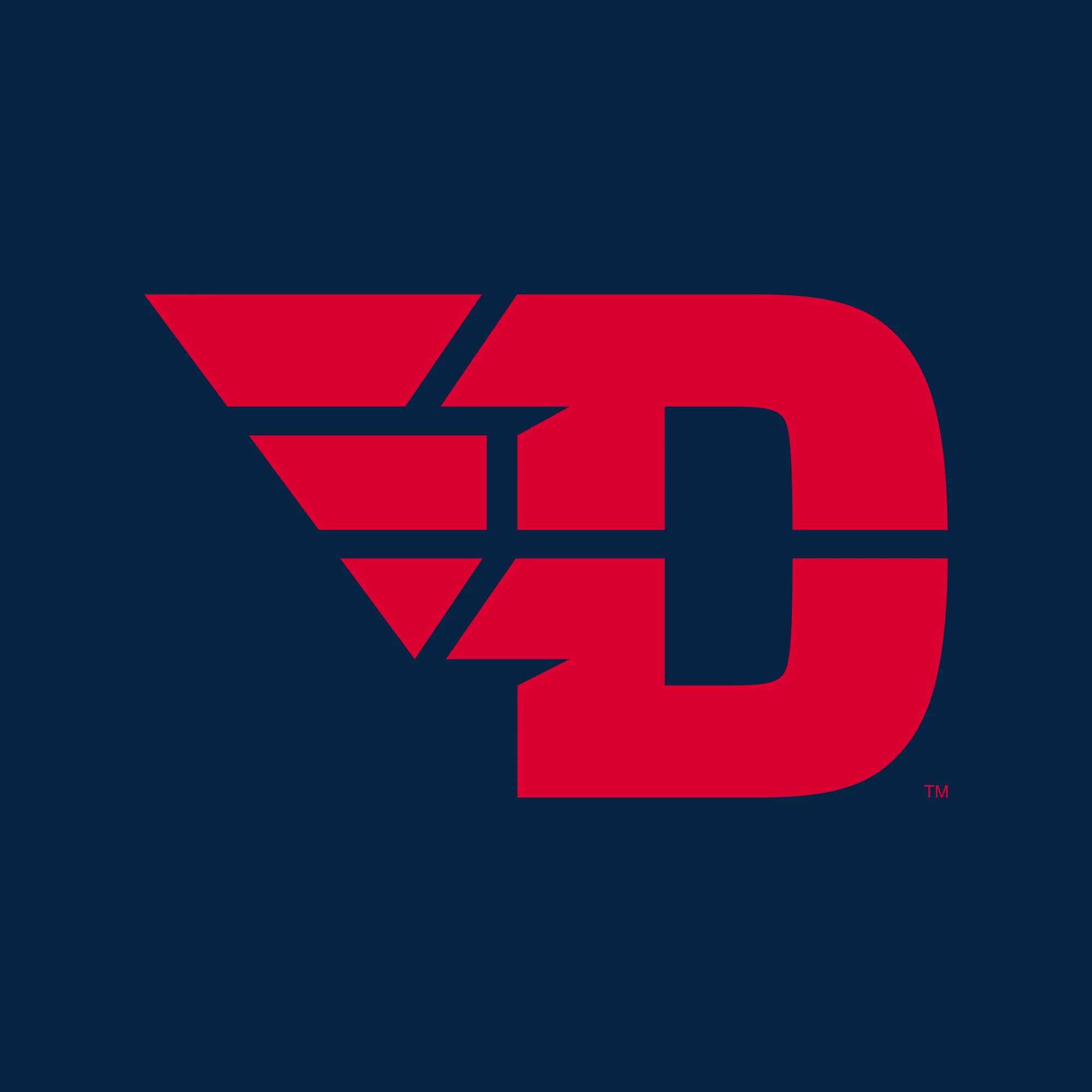 Dayton Front Back Print T-Shirt - Navy - Image 4