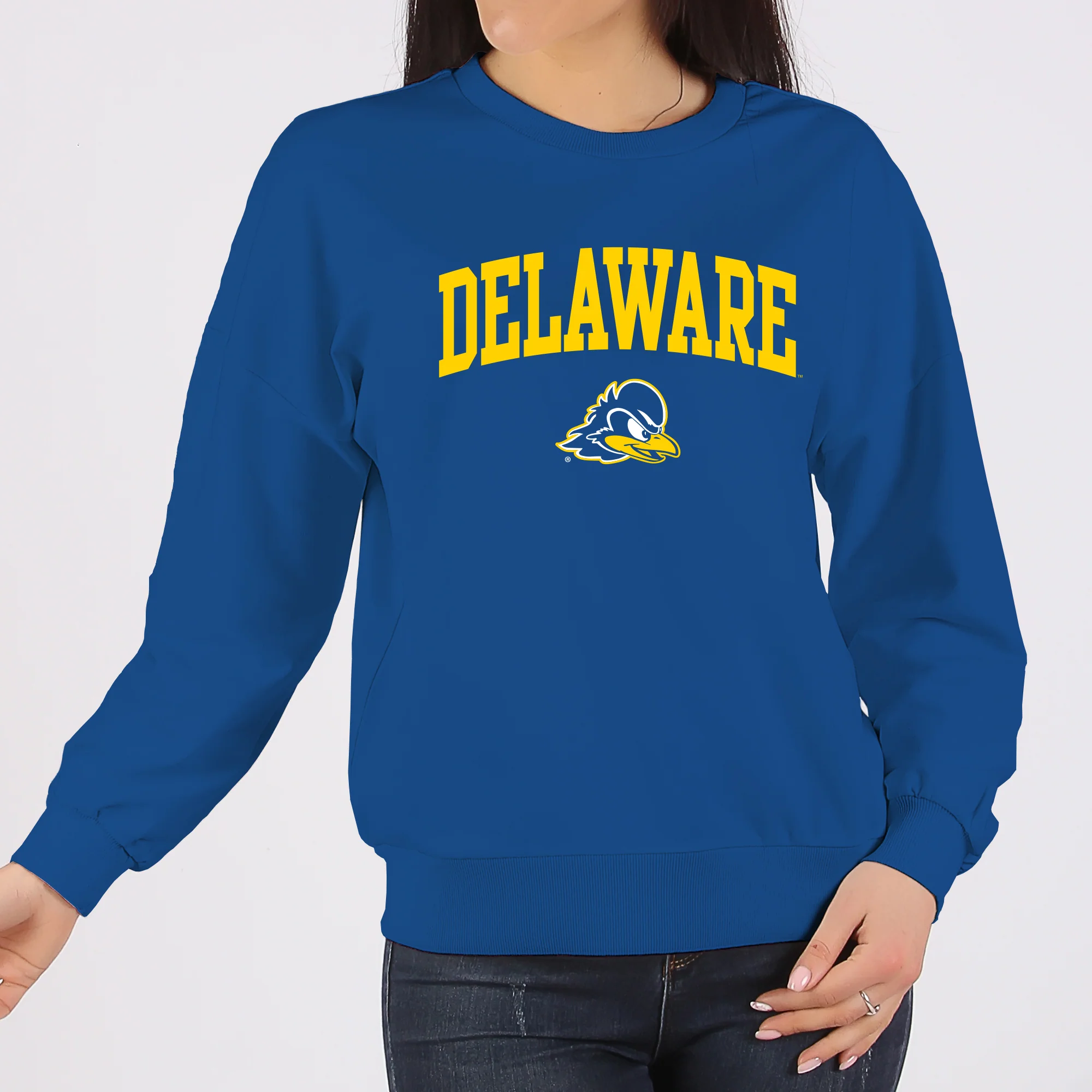 Delaware Blue Hens Arch Logo Crewneck Sweatshirt - Royal - Image 4