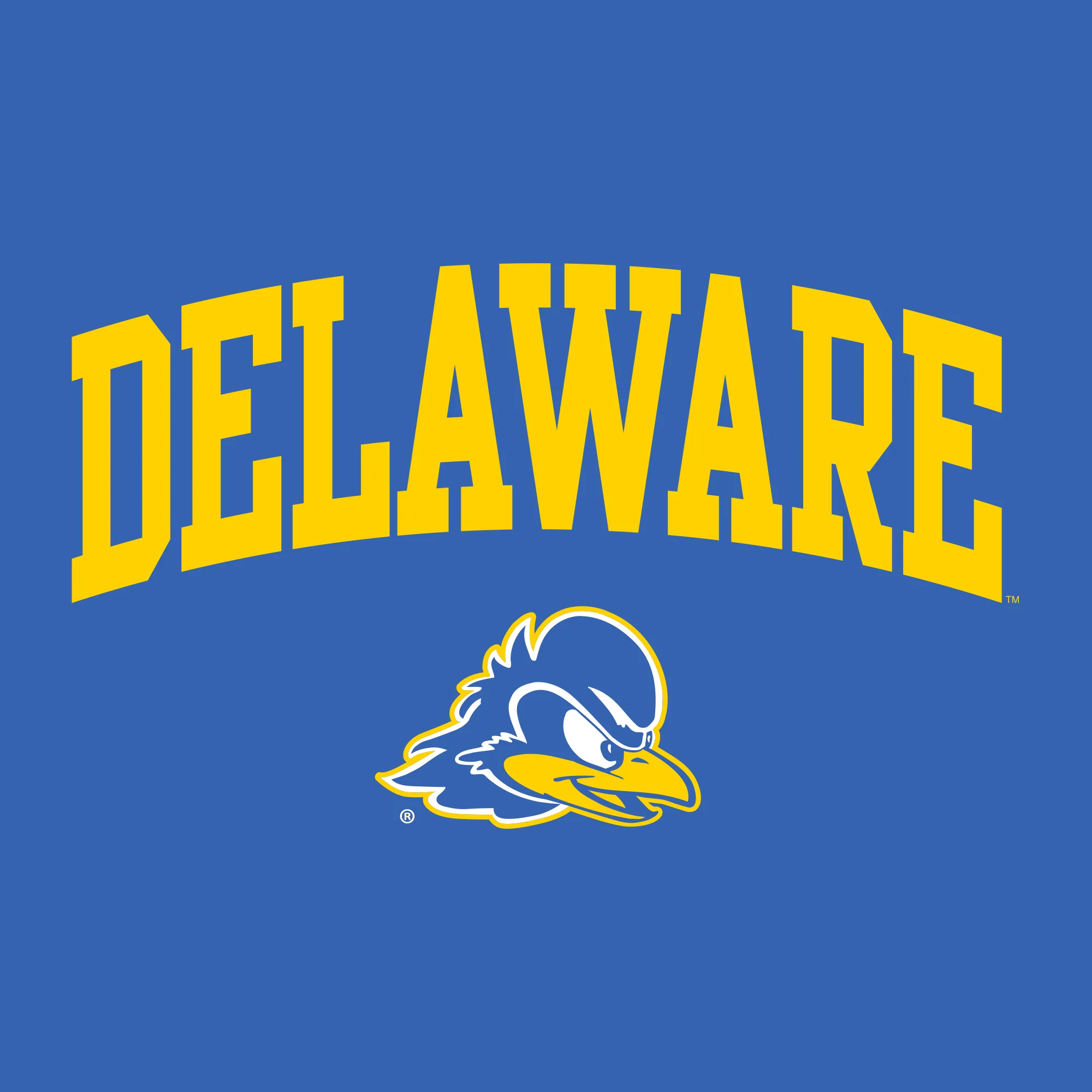 Delaware Blue Hens Arch Logo Hoodie - Royal - Image 2