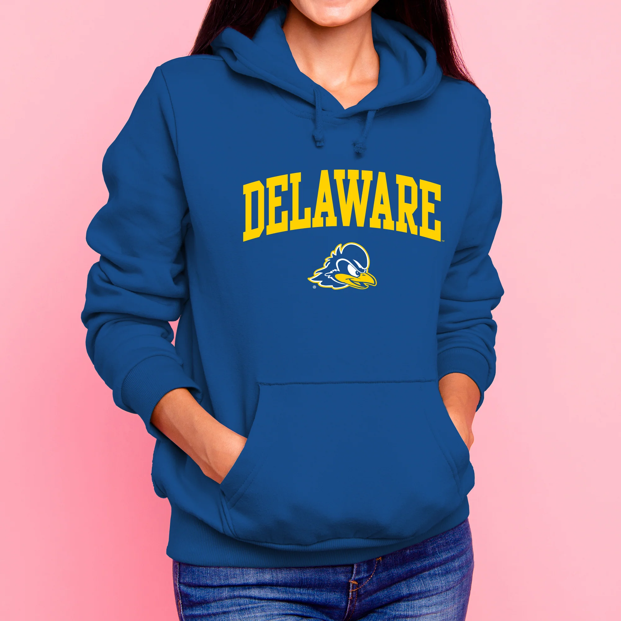 Delaware Blue Hens Arch Logo Hoodie - Royal - Image 4