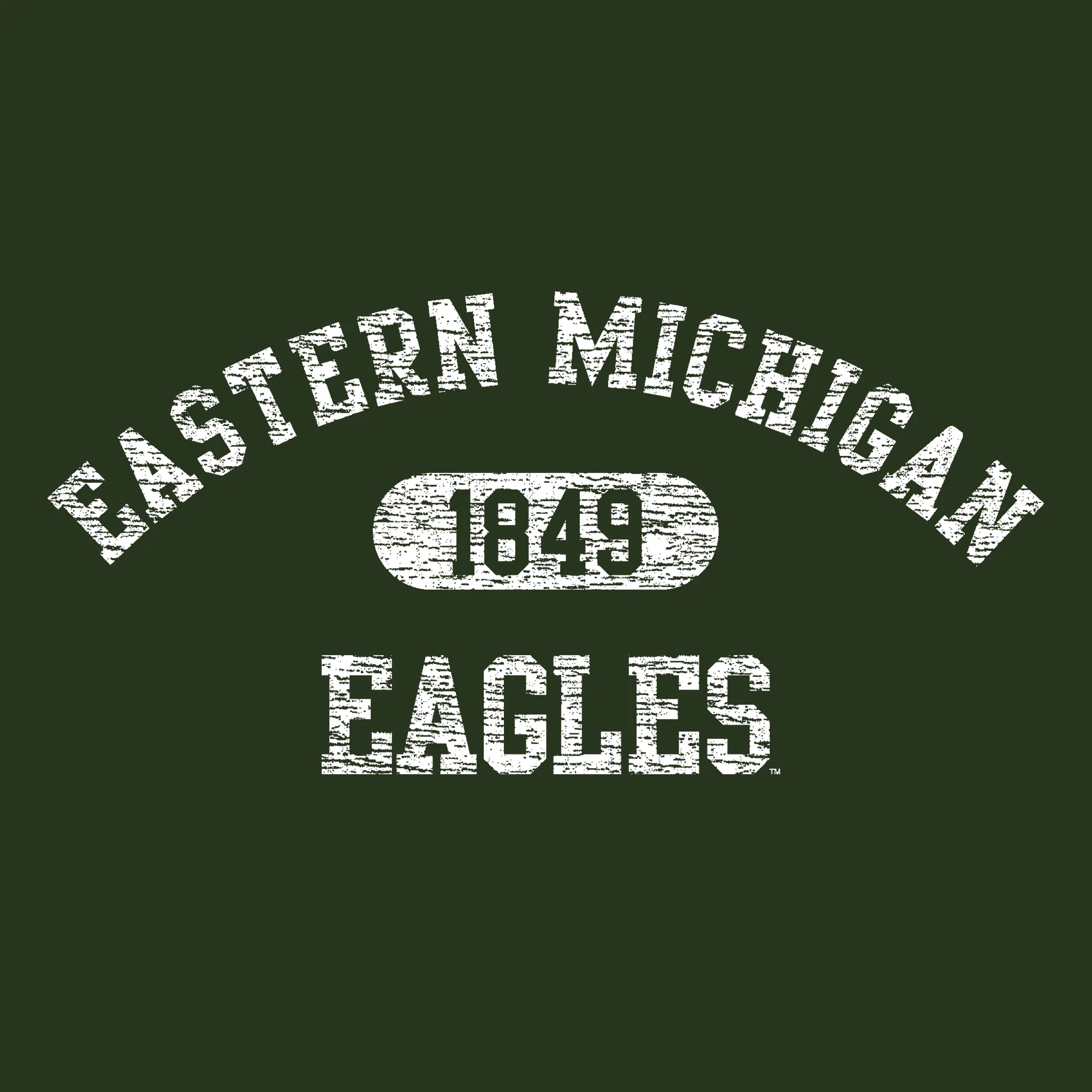 Eastern Michigan University Eagles Athletic Arch Heavy Blend Hoodie - Forest - Image 2