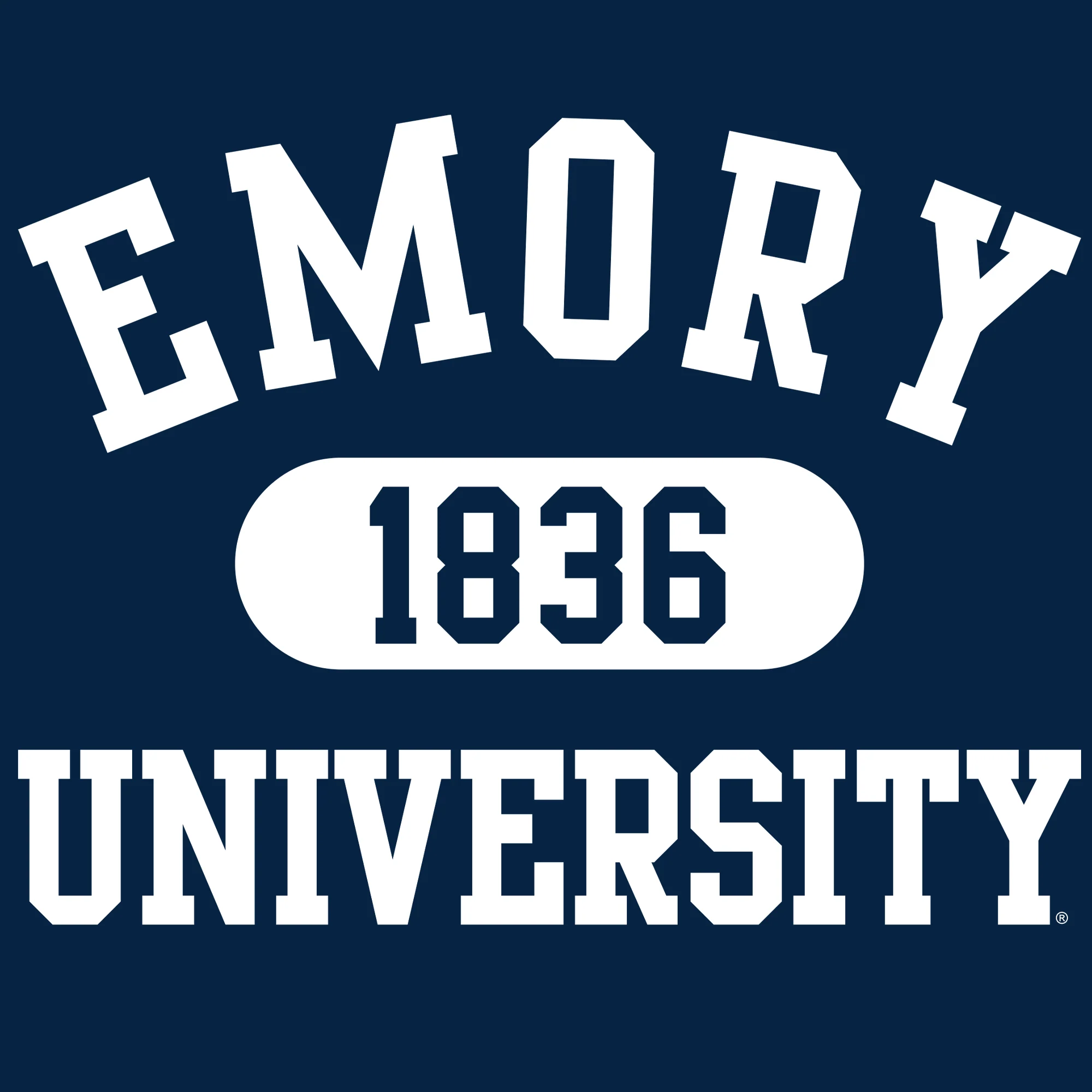 Emory University Eagles Athletic Arch Heavy Blend Hoodie - Navy - Image 2