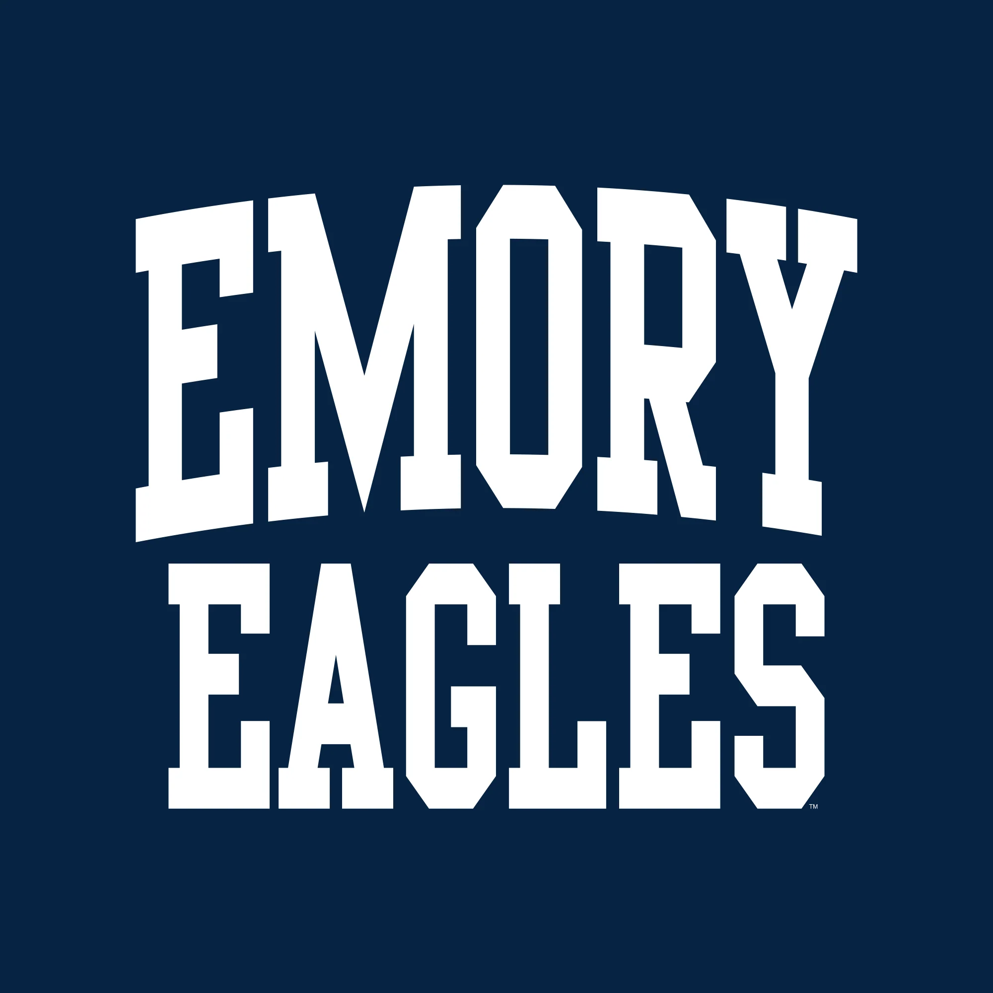 Emory University Eagles Front Back Print Heavy Blend Hoodie - Navy - Image 2
