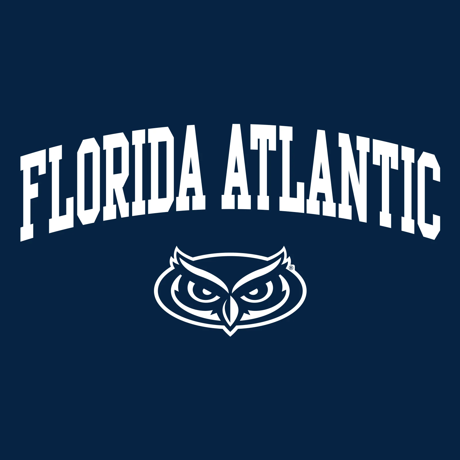 Florida Atlantic University Owls Arch Logo Long Sleeve T-Shirt - Navy - Image 2