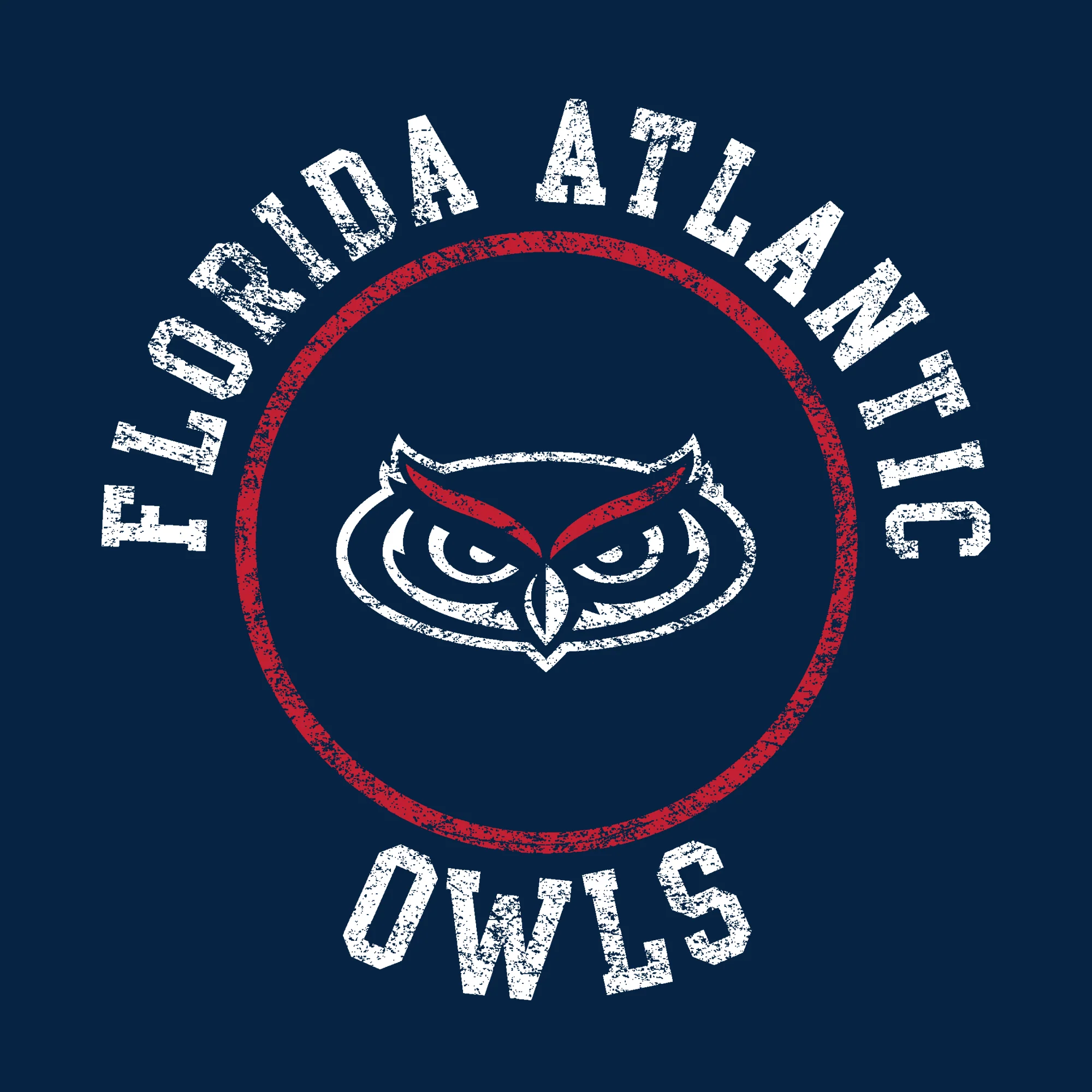 Florida Atlantic University Owls Distressed Circle Logo Youth Short Sleeve T Shirt - Navy - Image 2