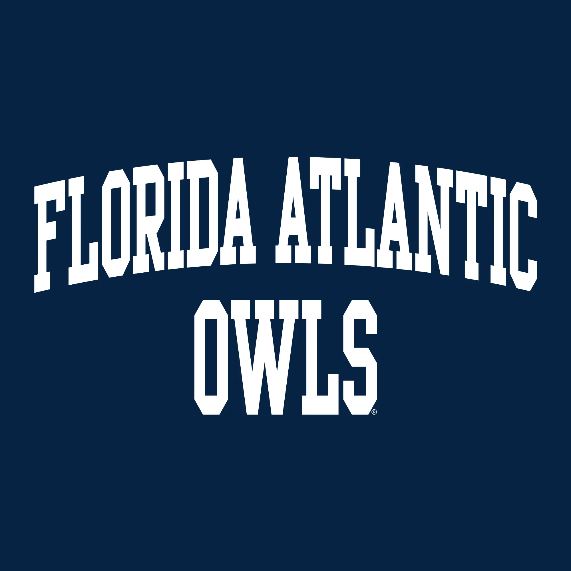 Florida Atlantic University Owls Front Back Print Heavy Blend Hoodie - Navy - Image 2