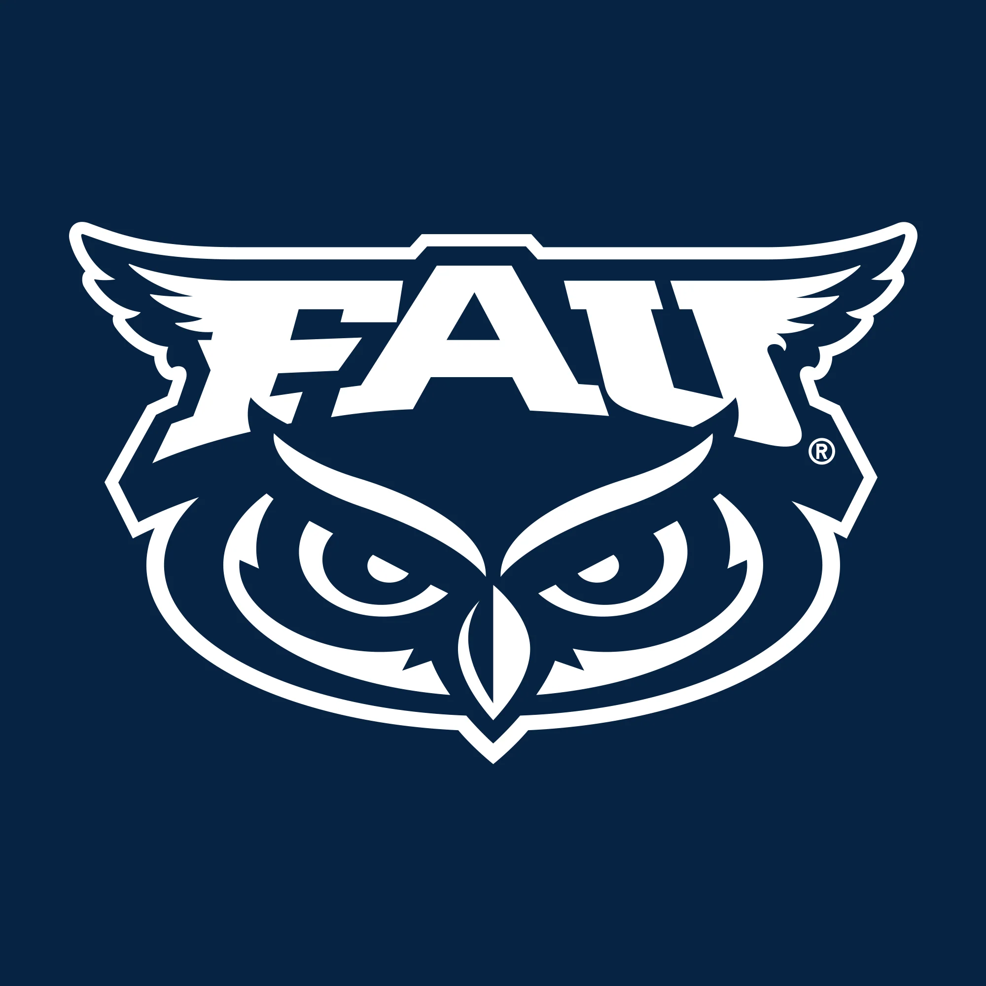 Florida Atlantic University Owls Front Back Print Heavy Blend Hoodie - Navy - Image 4