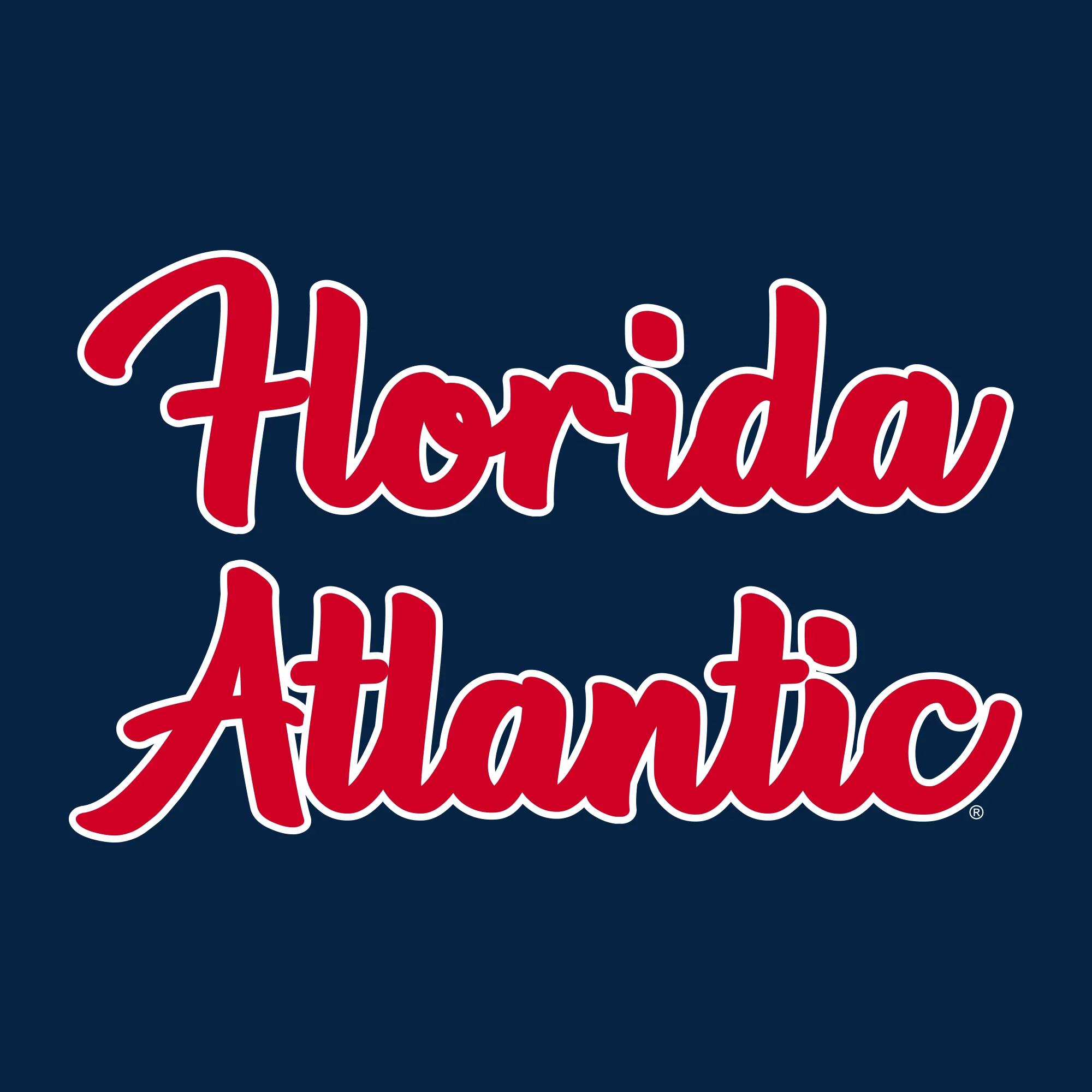 Florida Atlantic University Owls Basic Script Heavy Blend Hoodie - Navy - Image 2