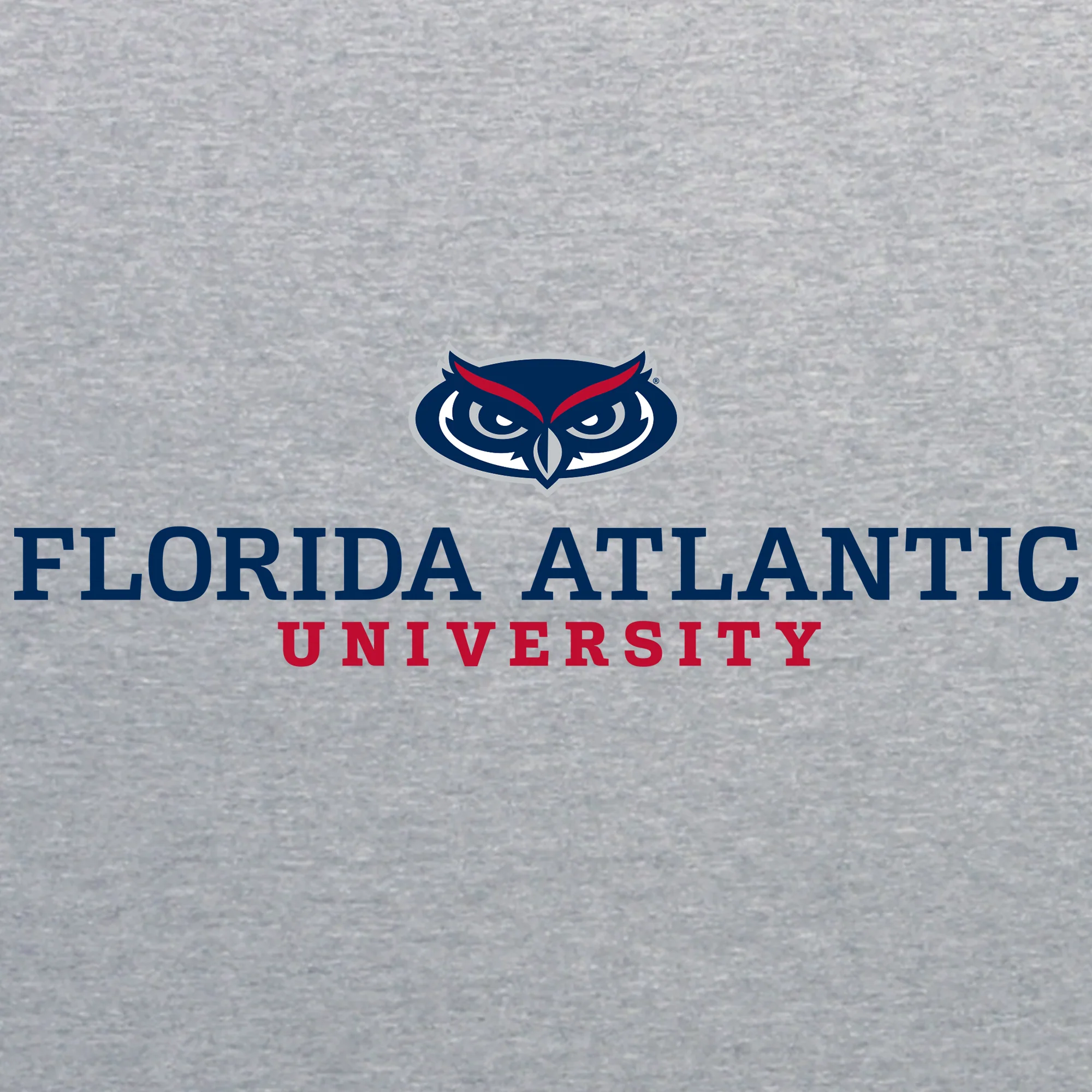 Florida Atlantic University Owls Institutional Logo Hoodie - Sport Grey - Image 2