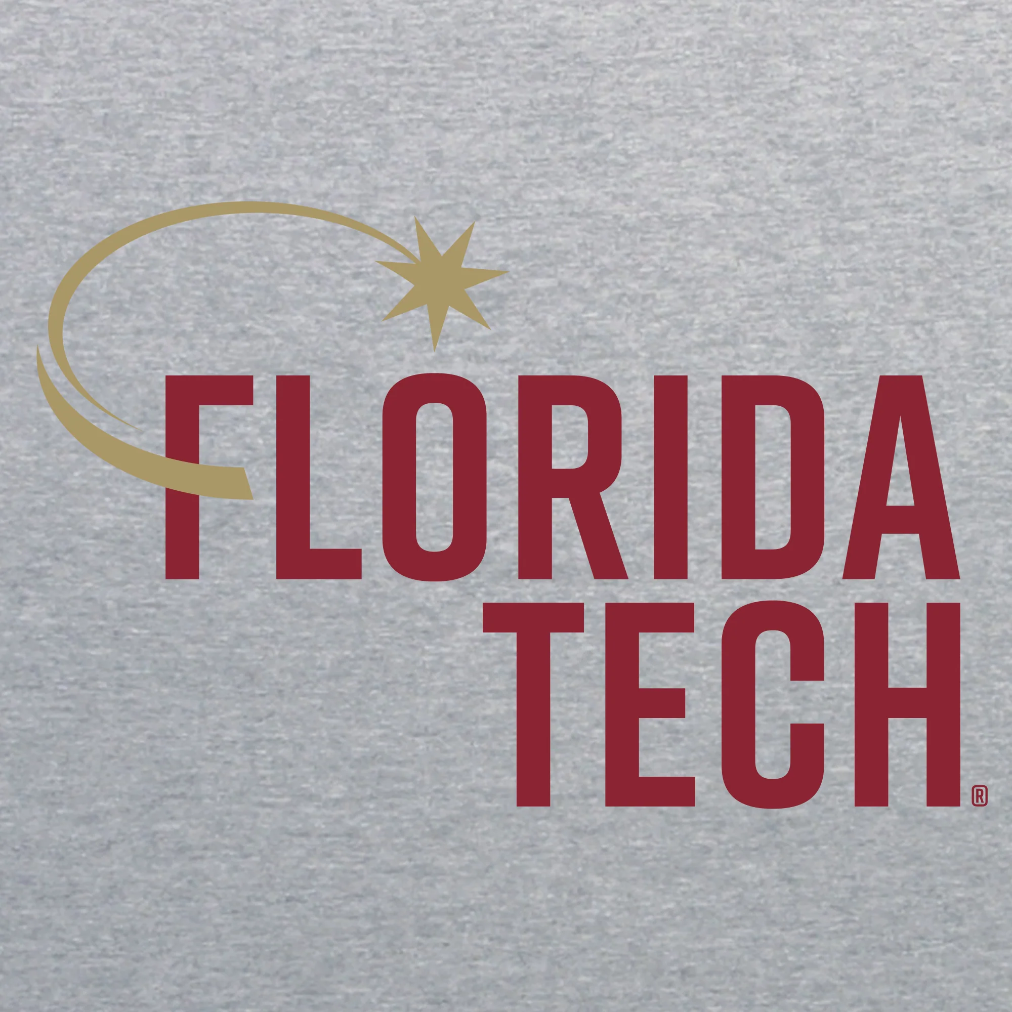Florida Institute of Technology Panthers Institutional Logo Hoodie - Sport Grey - Image 2