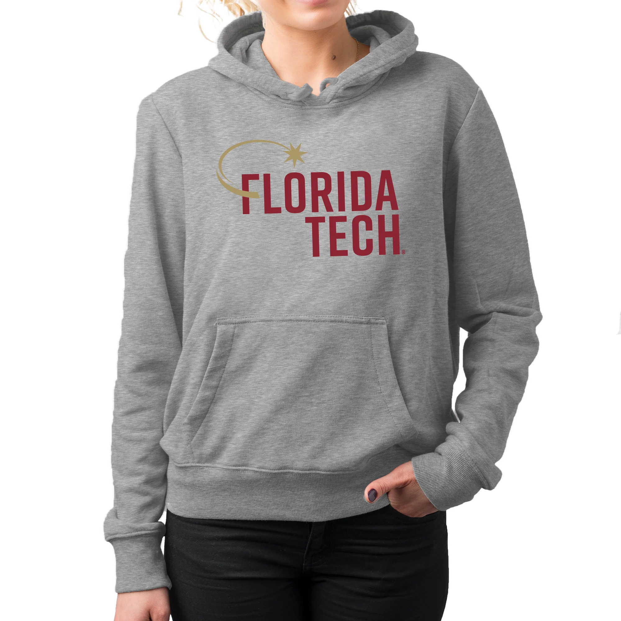 Florida Institute of Technology Panthers Institutional Logo Hoodie - Sport Grey - Image 4
