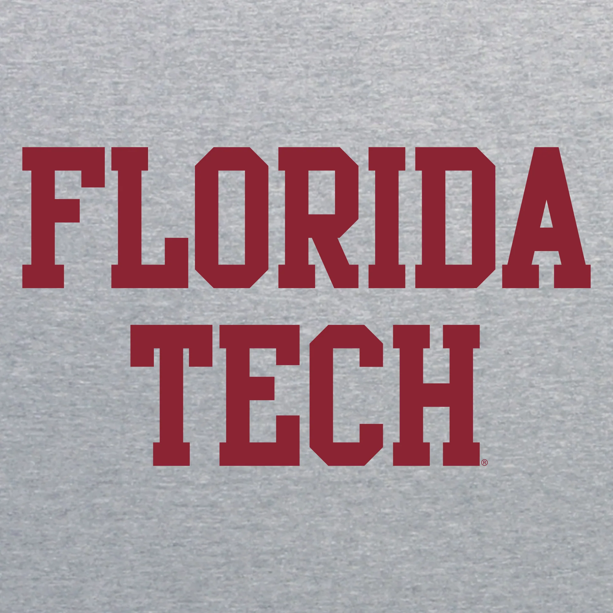Florida Tech Panthers Basic Block T Shirt - Sport Grey - Image 2