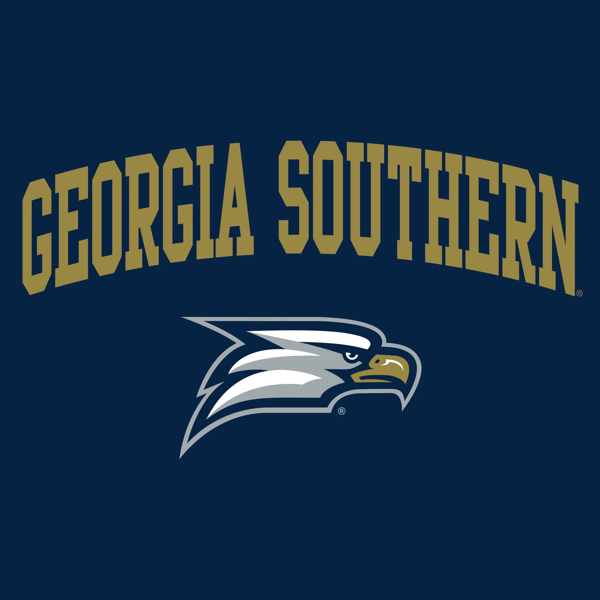 Georgia Southern University Eagles Arch Logo Cotton Long Sleeve T-Shirt - Navy - Image 2